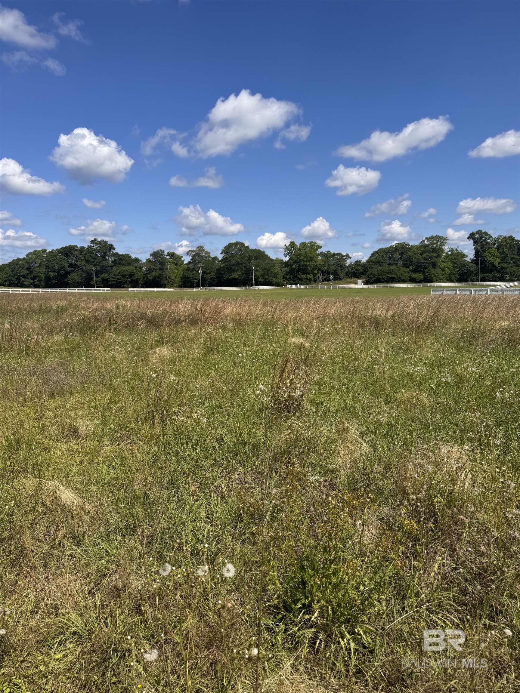 Homes for sale in Atmore, AL | 0 Stokley Court, Atmore, AL 36502 | MLS# 379130