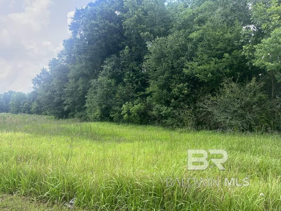 Homes for sale in Grand Bay, AL | 0 Gus Broughton, Grand Bay, AL 36541 | MLS# 379382