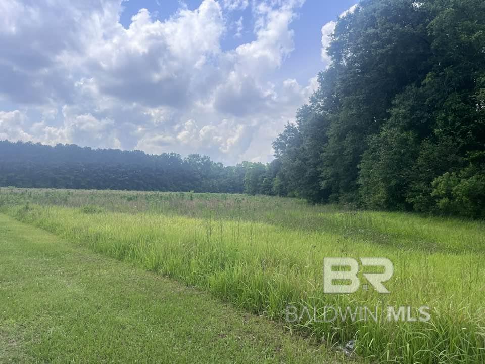 Homes for sale in Grand Bay, AL | 0 Gus Broughton, Grand Bay, AL 36541 | MLS# 379382