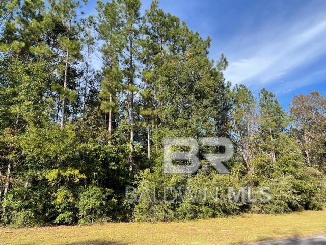 Listing Photo 379875