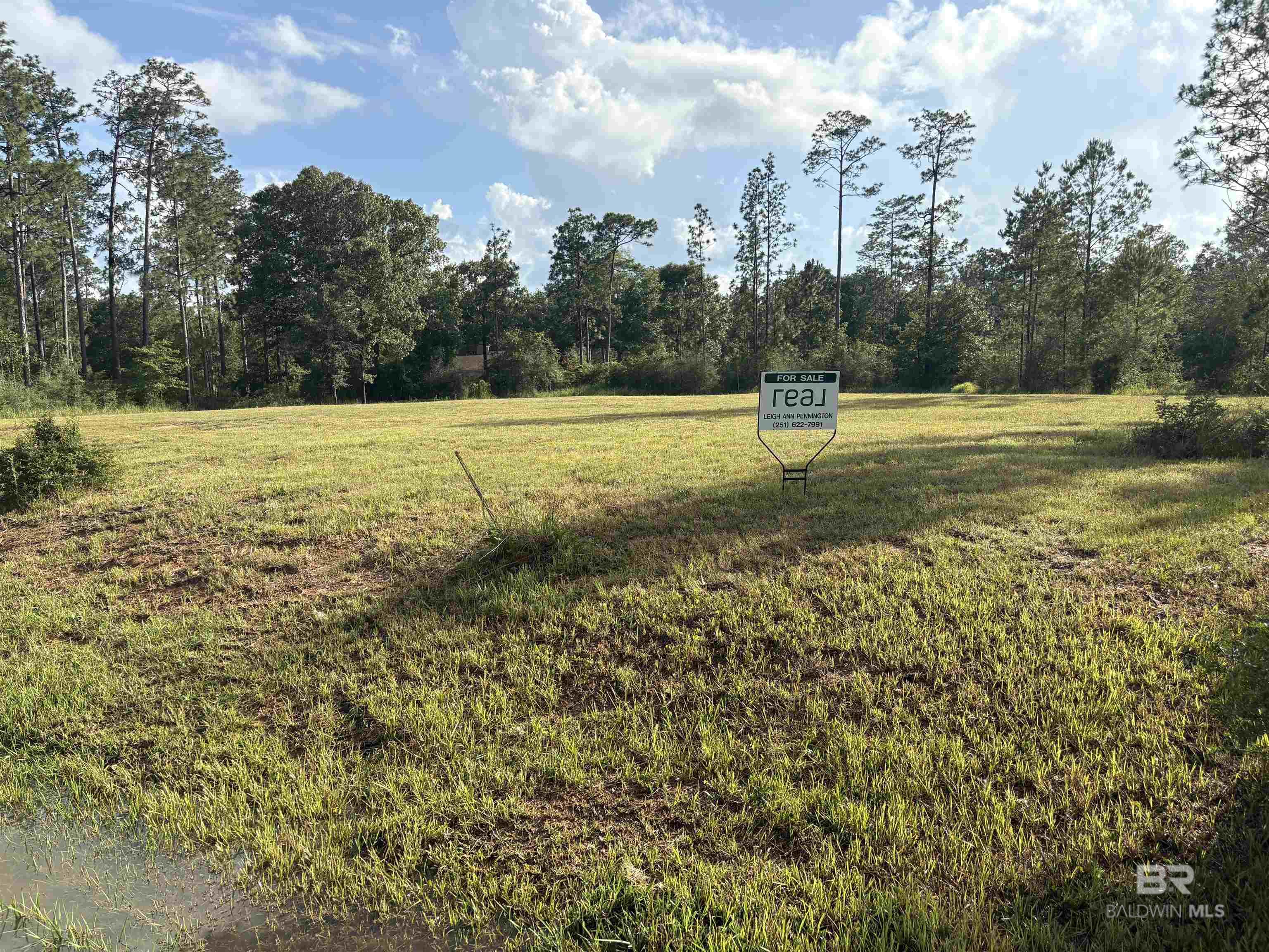 Homes for sale in Loxley, AL | Steelwood Ridge Road, Loxley, AL 36551 | MLS# 380003