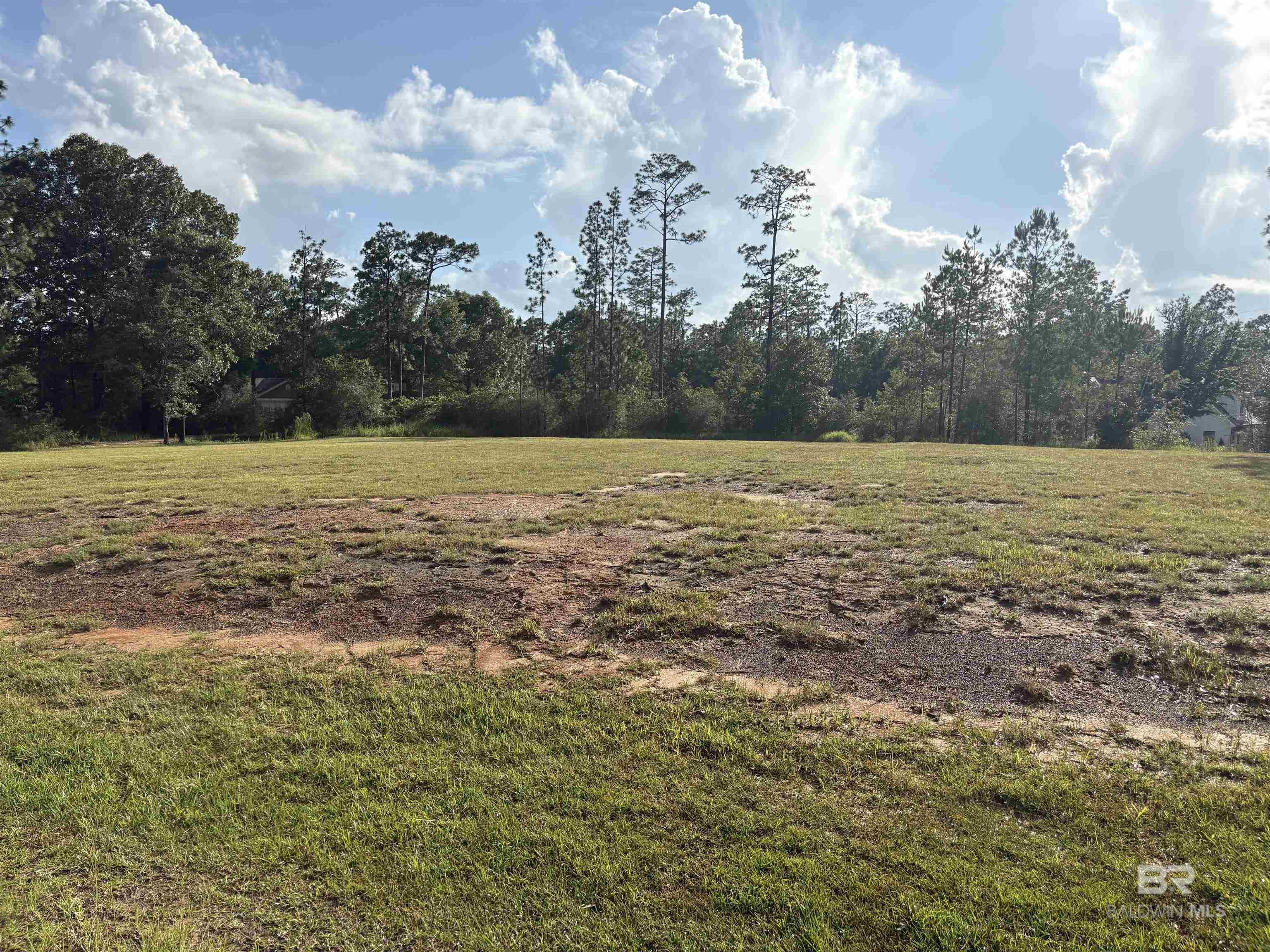 Homes for sale in Loxley, AL | Steelwood Ridge Road, Loxley, AL 36551 | MLS# 380003