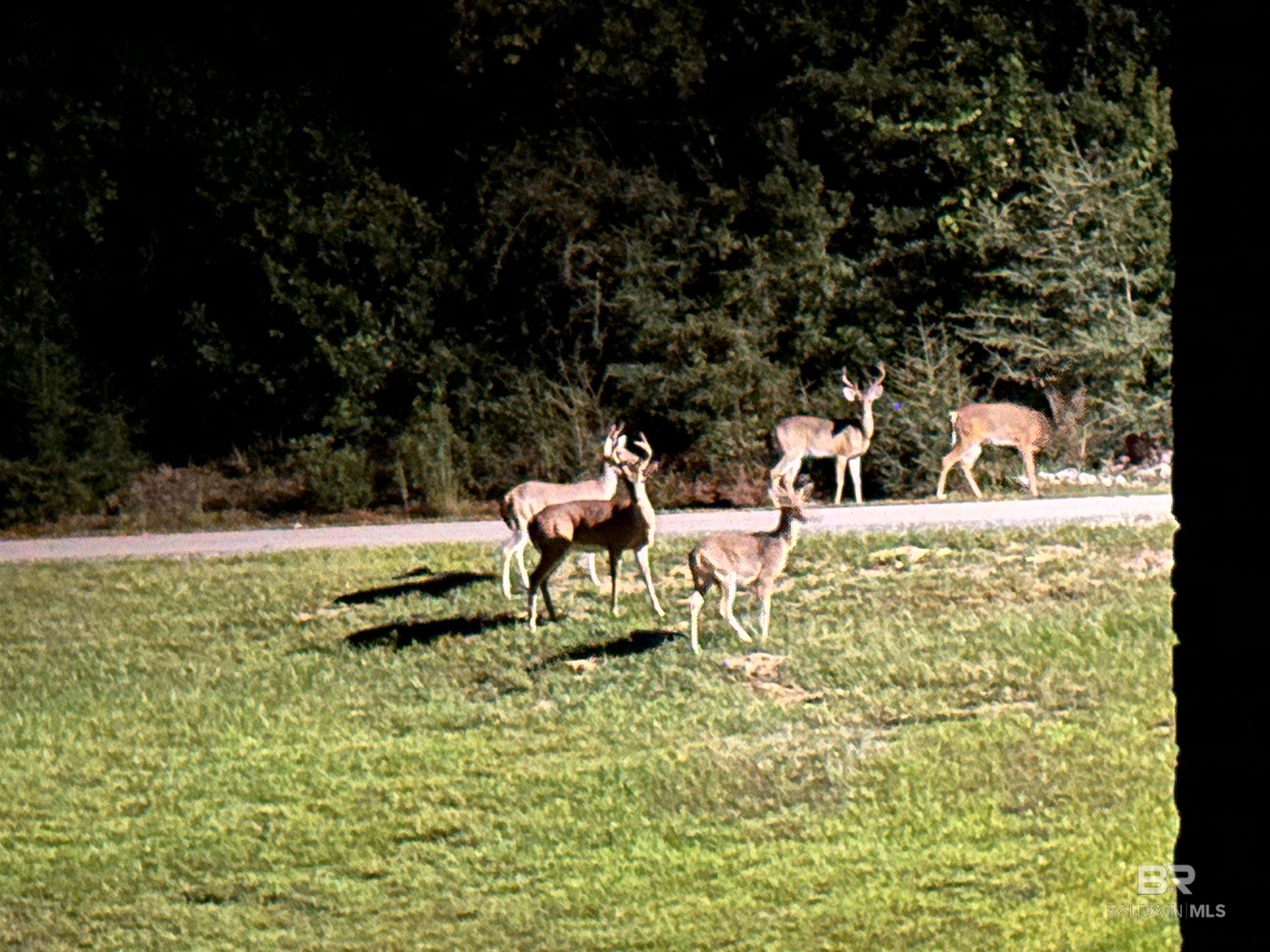 Homes for sale in Loxley, AL | Steelwood Ridge Road, Loxley, AL 36551 | MLS# 380003