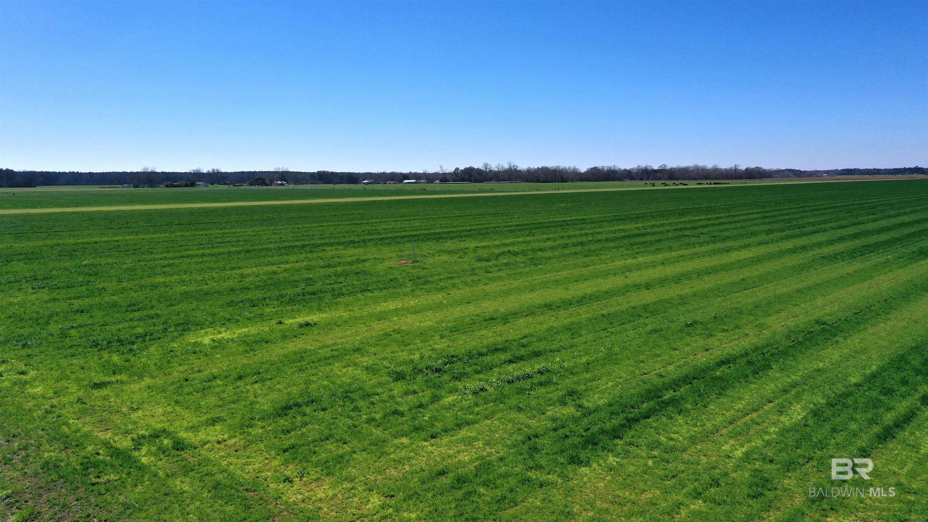 Homes for sale in Atmore, AL | Lot 15 Davis Pond Road, Atmore, AL 36502 | MLS# 380743