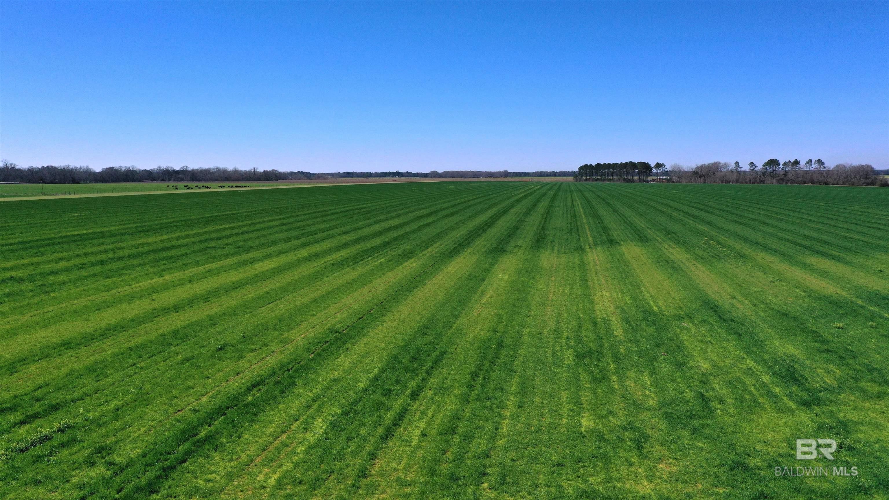 Homes for sale in Atmore, AL | Lot 15 Davis Pond Road, Atmore, AL 36502 | MLS# 380743