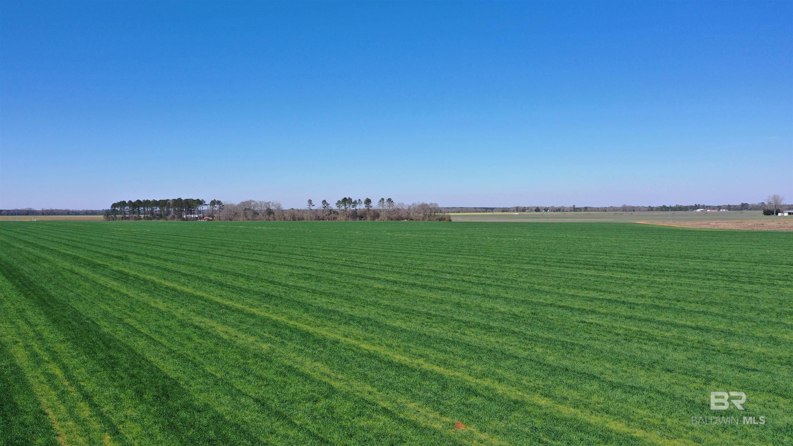 Homes for sale in Atmore, AL | Lot 15 Davis Pond Road, Atmore, AL 36502 | MLS# 380743