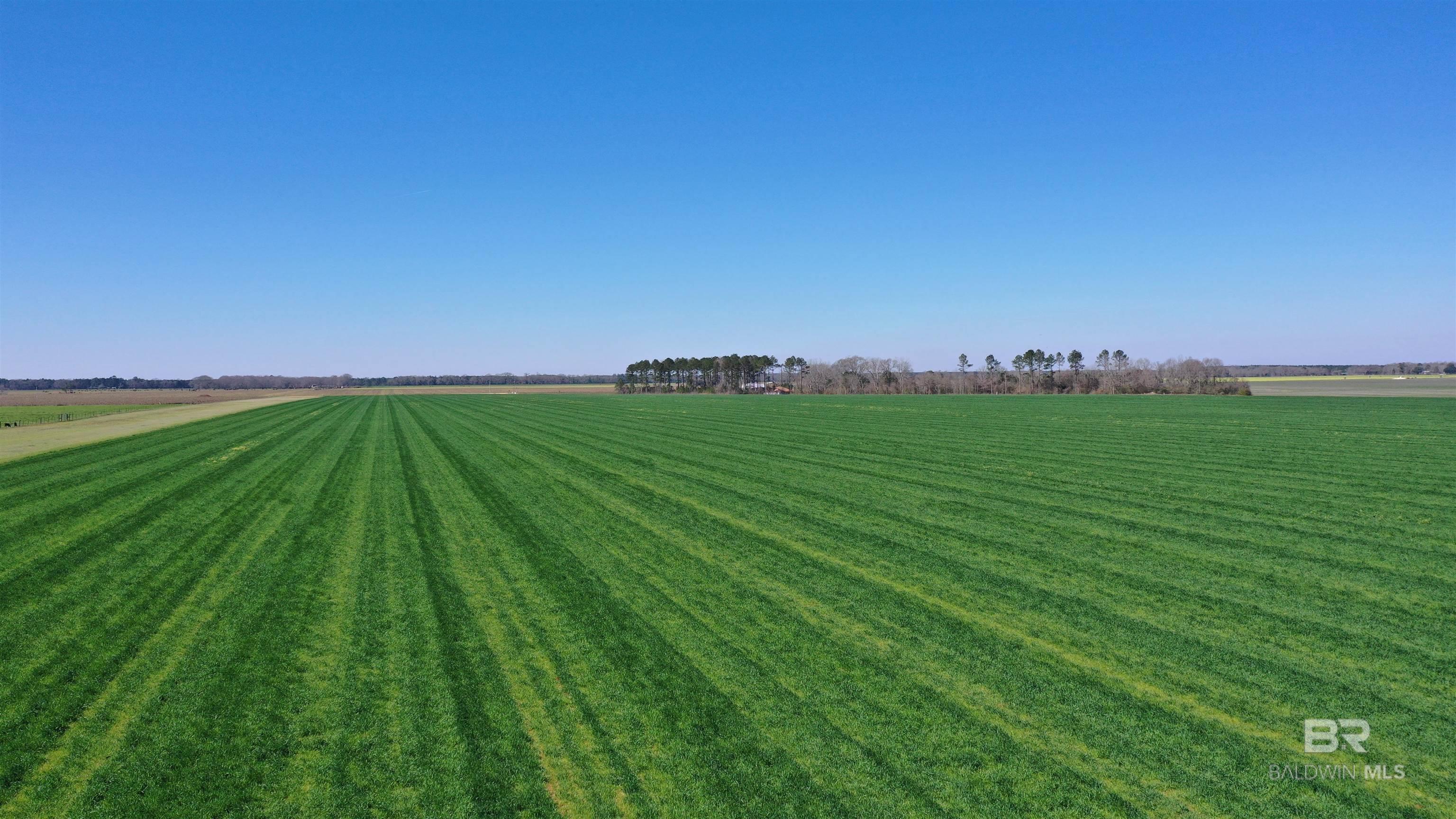 Homes for sale in Atmore, AL | Lot 15 Davis Pond Road, Atmore, AL 36502 | MLS# 380743