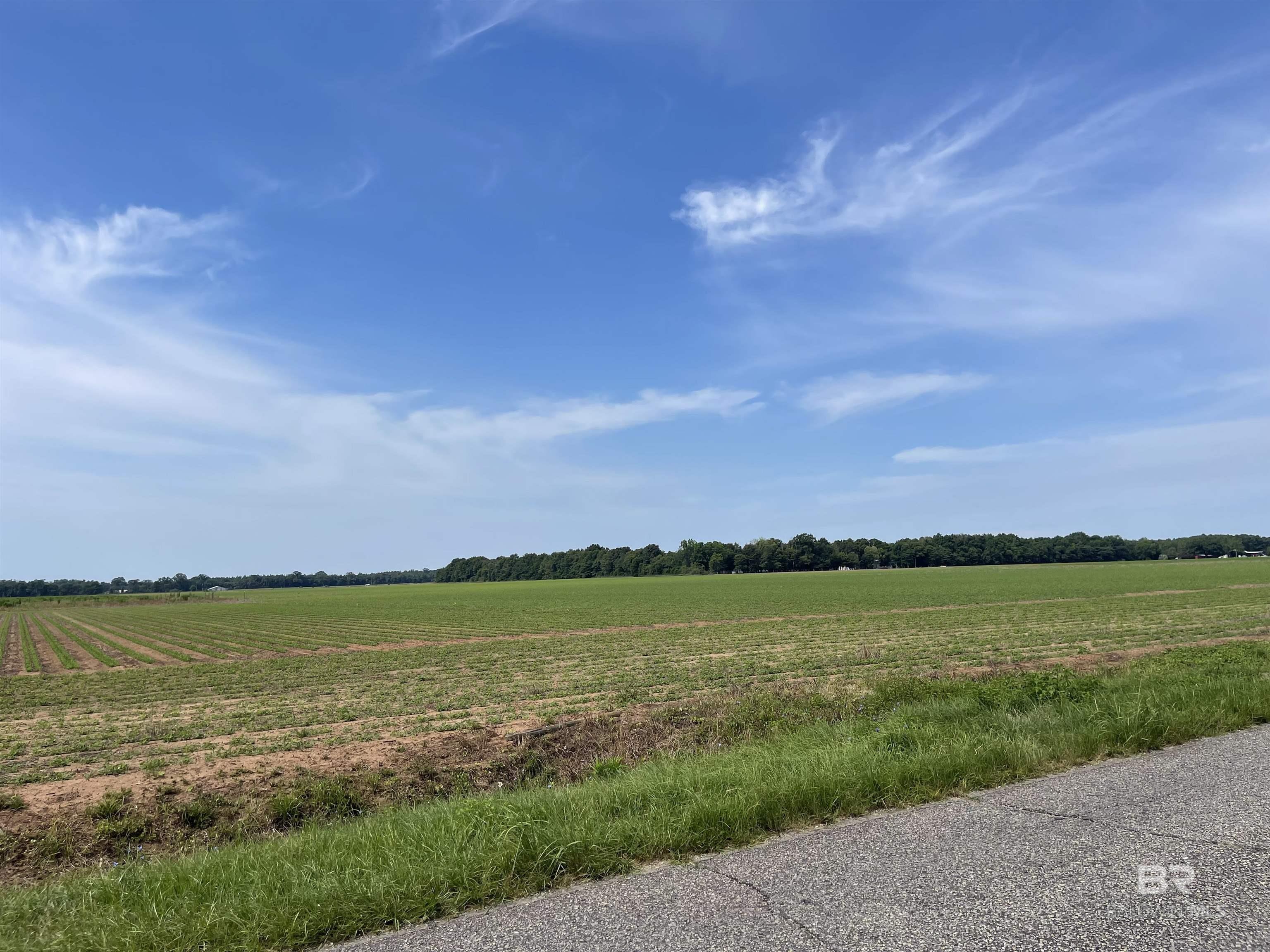 Homes for sale in Jay, FL | 0 Hwy 182, Jay, FL 32565 | MLS# 380977