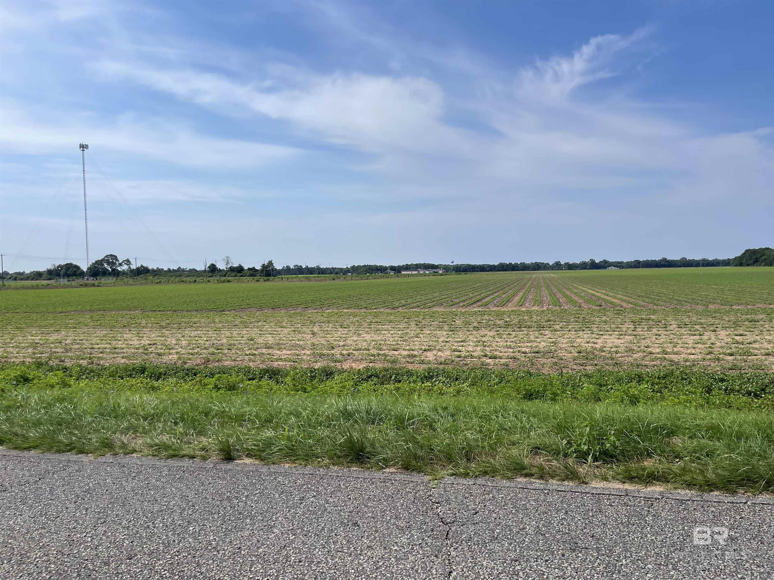 Homes for sale in Jay, FL | 0 Hwy 182, Jay, FL 32565 | MLS# 380977