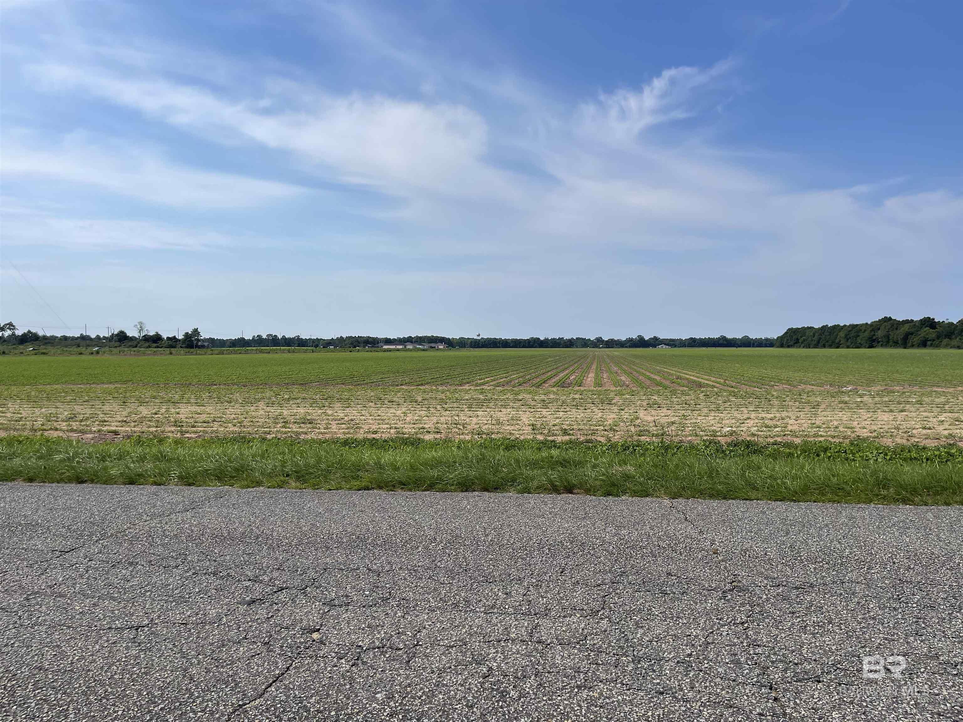 Homes for sale in Jay, FL | 1 Hwy 182, Jay, FL 32565 | MLS# 381046