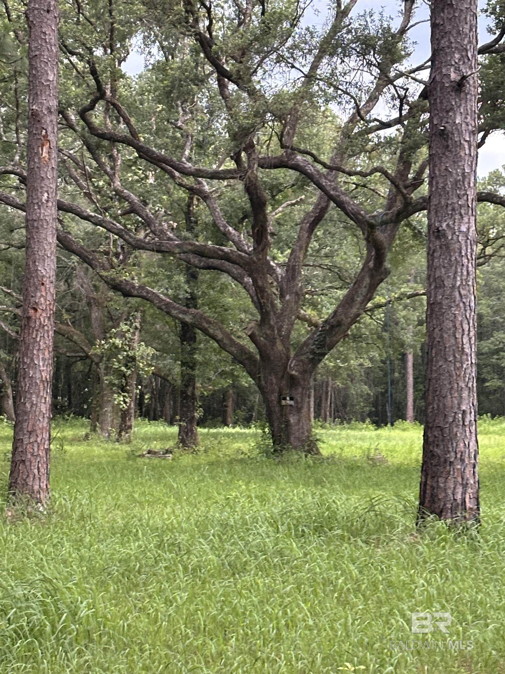 Homes for sale in Axis, AL | 10901 Hall Dr, Axis, AL 36505 | MLS# 381149