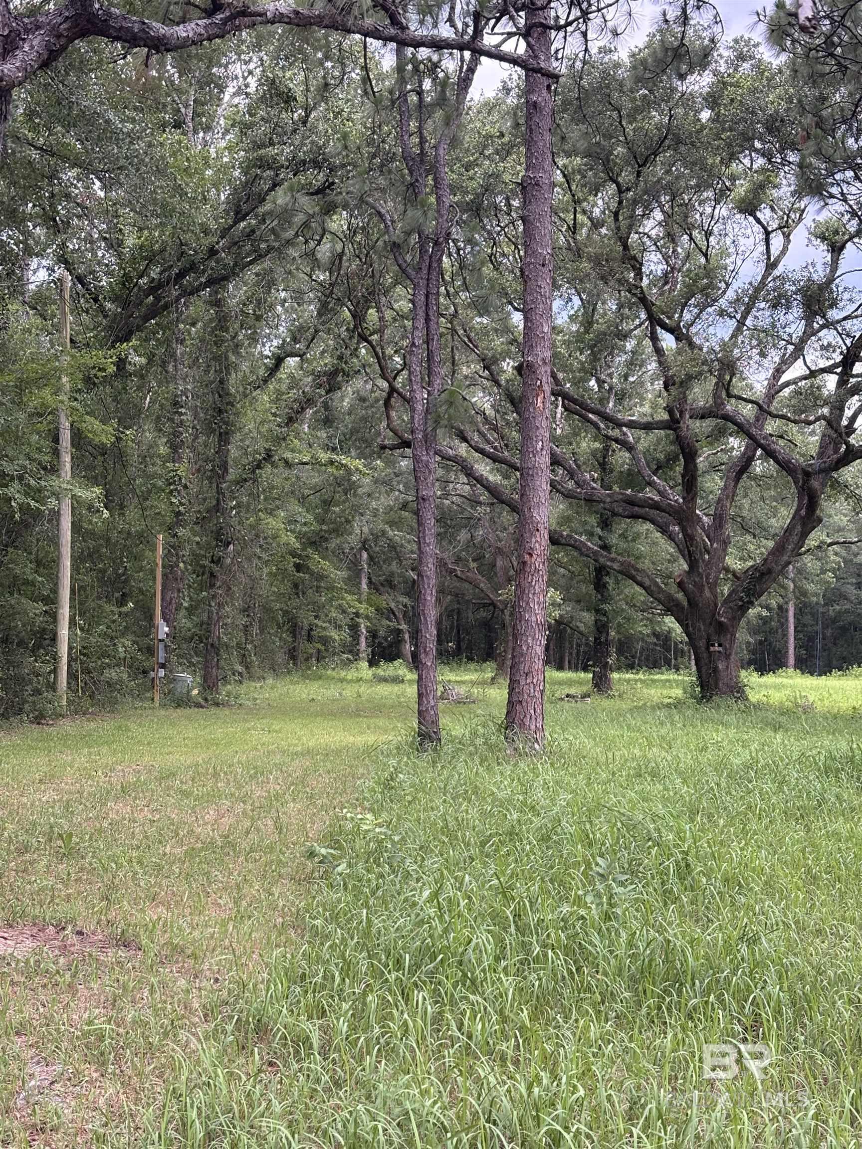 Homes for sale in Axis, AL | 10901 Hall Dr, Axis, AL 36505 | MLS# 381149