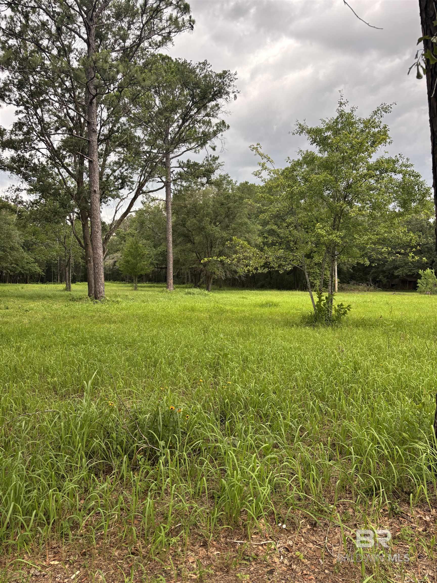 Homes for sale in Axis, AL | 10901 Hall Dr, Axis, AL 36505 | MLS# 381149