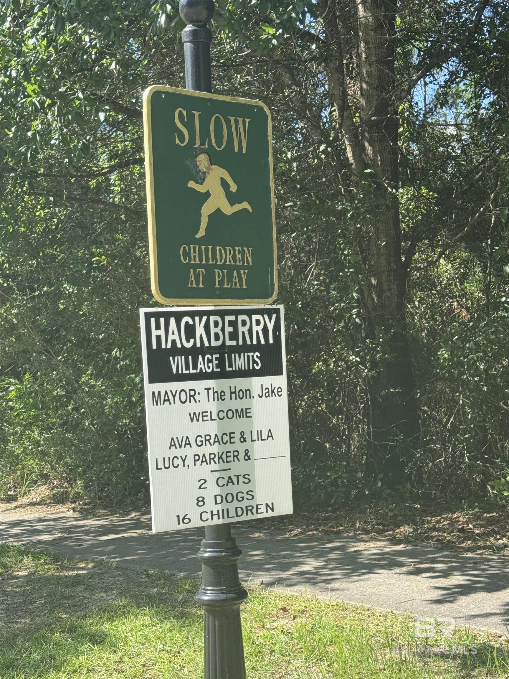 Homes for sale in Daphne, AL | 9494 Hackberry Court, Daphne, AL 36527 | MLS# 381473