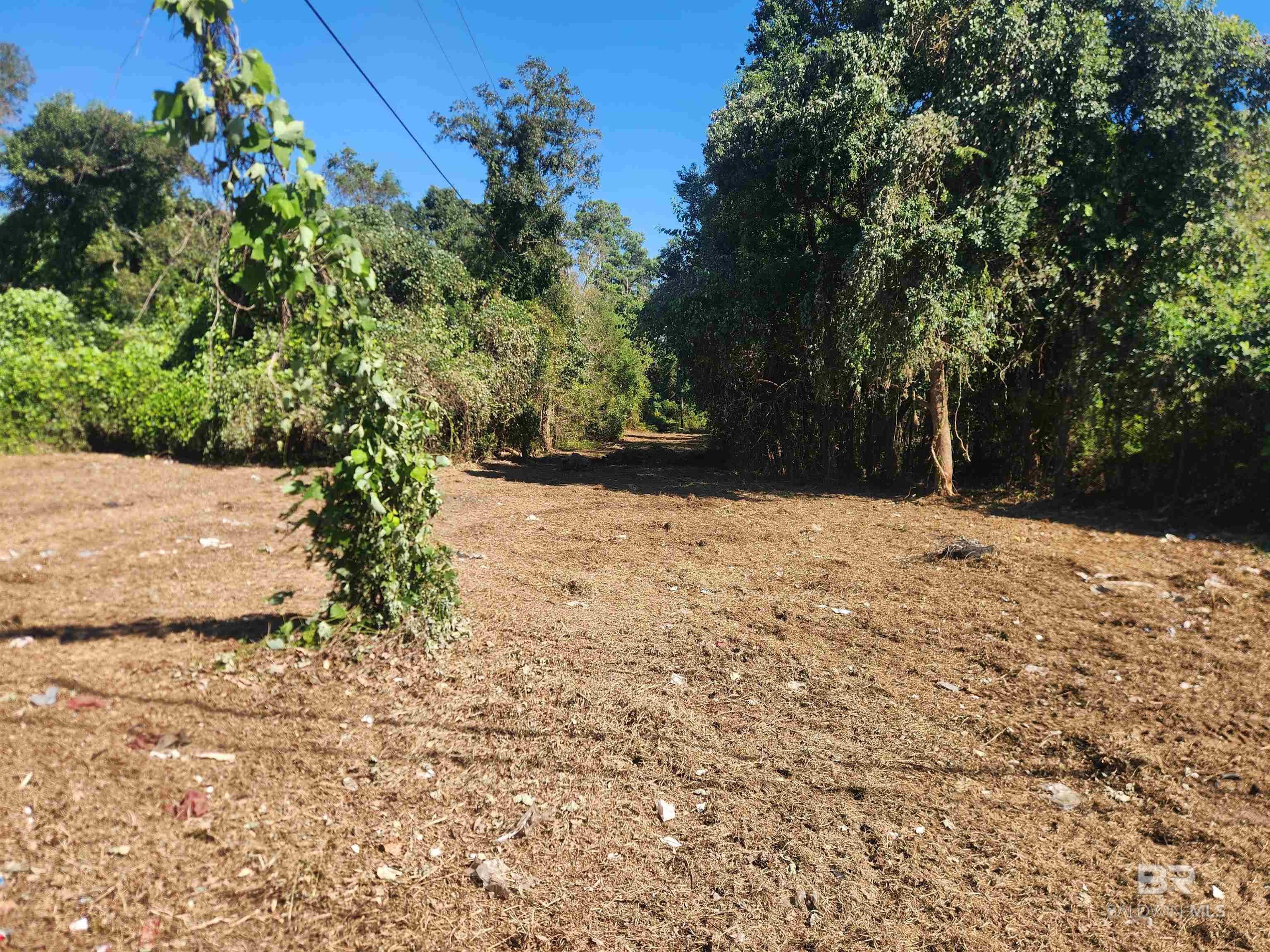 Homes for sale in Fairhope, AL | 0 Young Street, Fairhope, AL 36532 | MLS# 381662