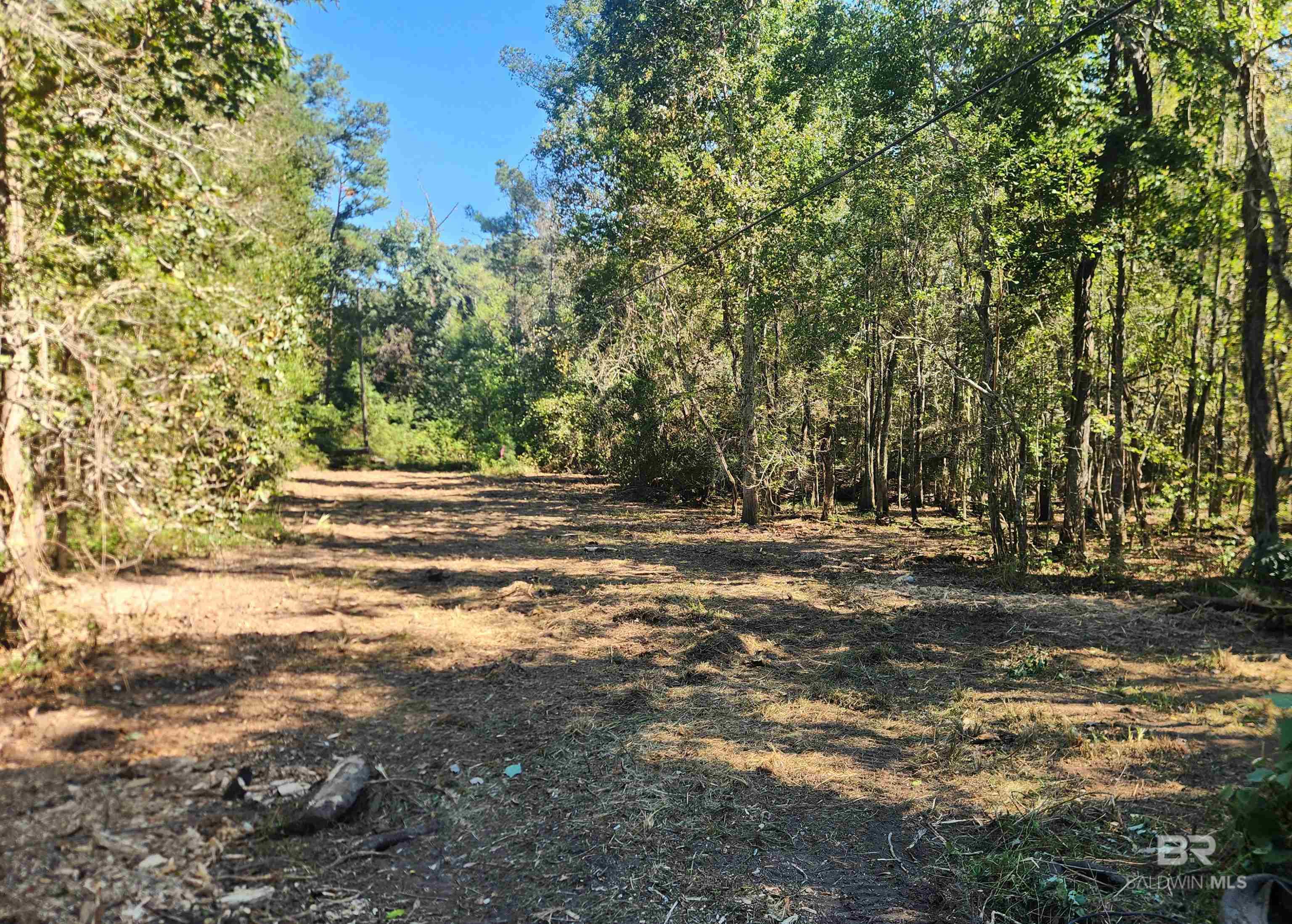 Homes for sale in Fairhope, AL | 0 Young Street, Fairhope, AL 36532 | MLS# 381662