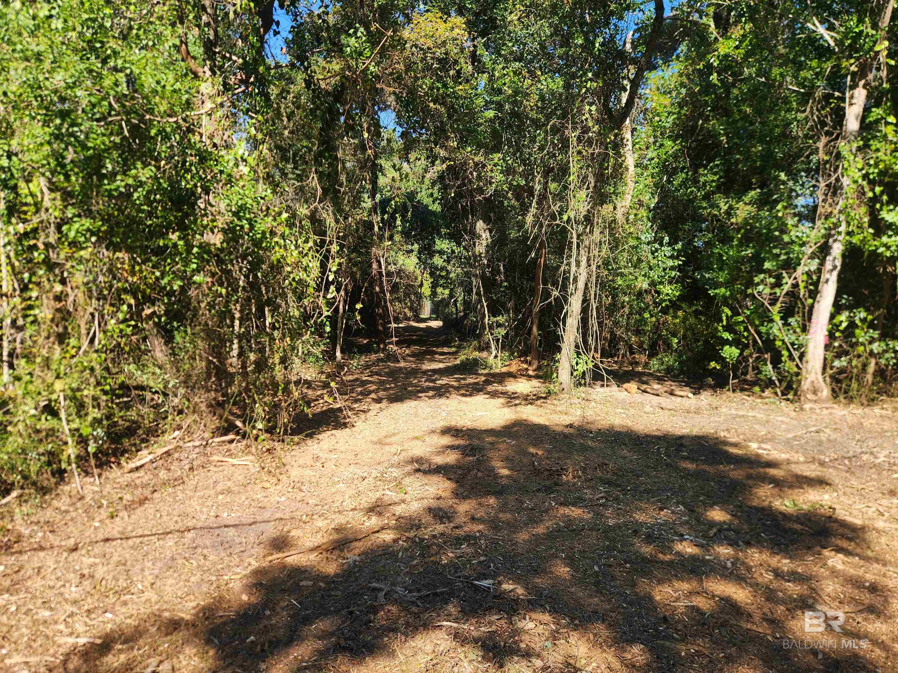 Homes for sale in Fairhope, AL | 0 Young Street, Fairhope, AL 36532 | MLS# 381662