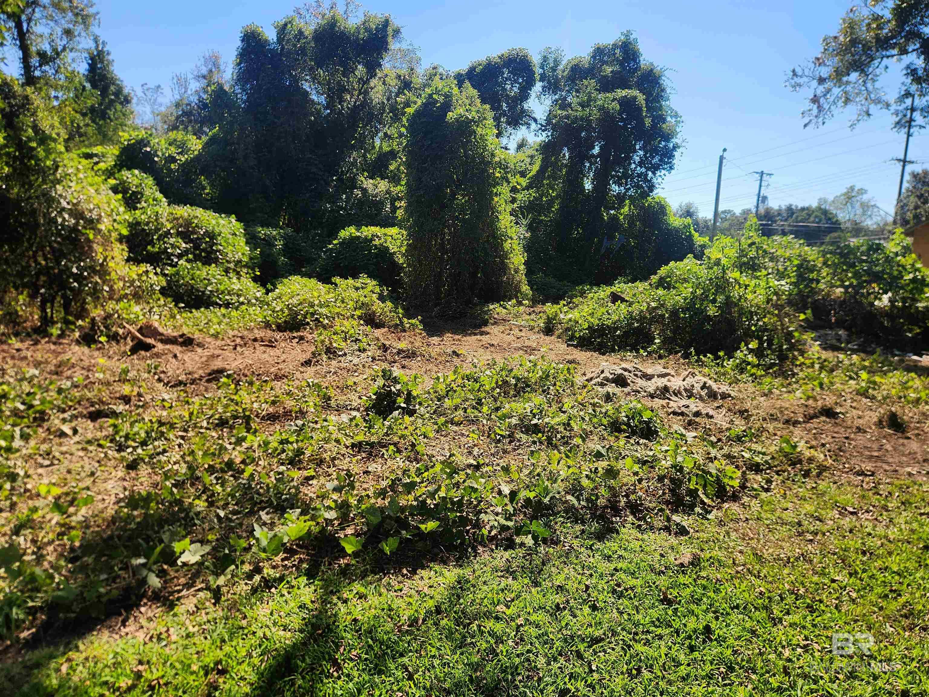 Homes for sale in Fairhope, AL | 0 Young Street, Fairhope, AL 36532 | MLS# 381662