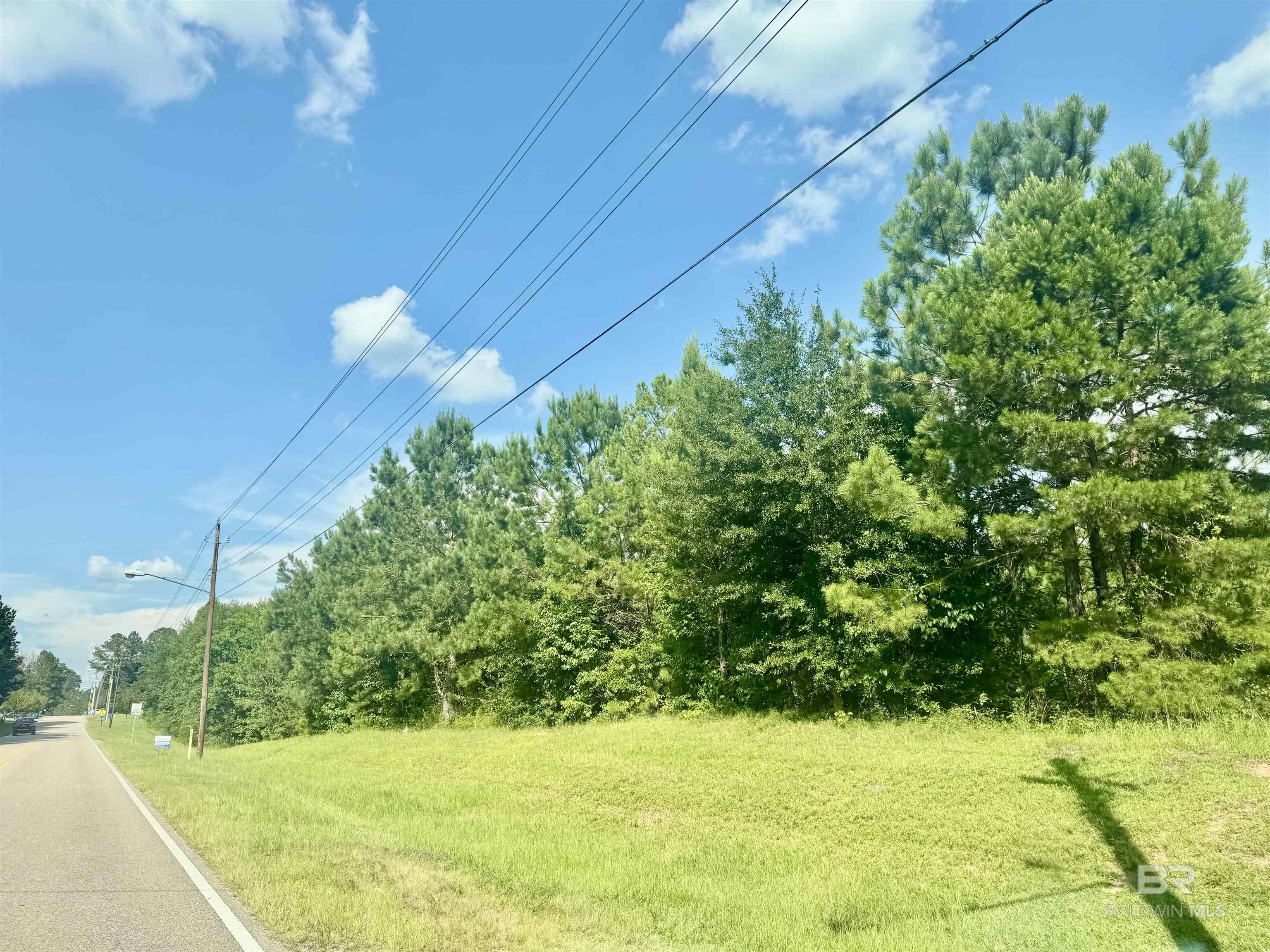 Homes for sale in Evergreen, AL | Wild Avenue, Evergreen, AL 36401 | MLS# 381804