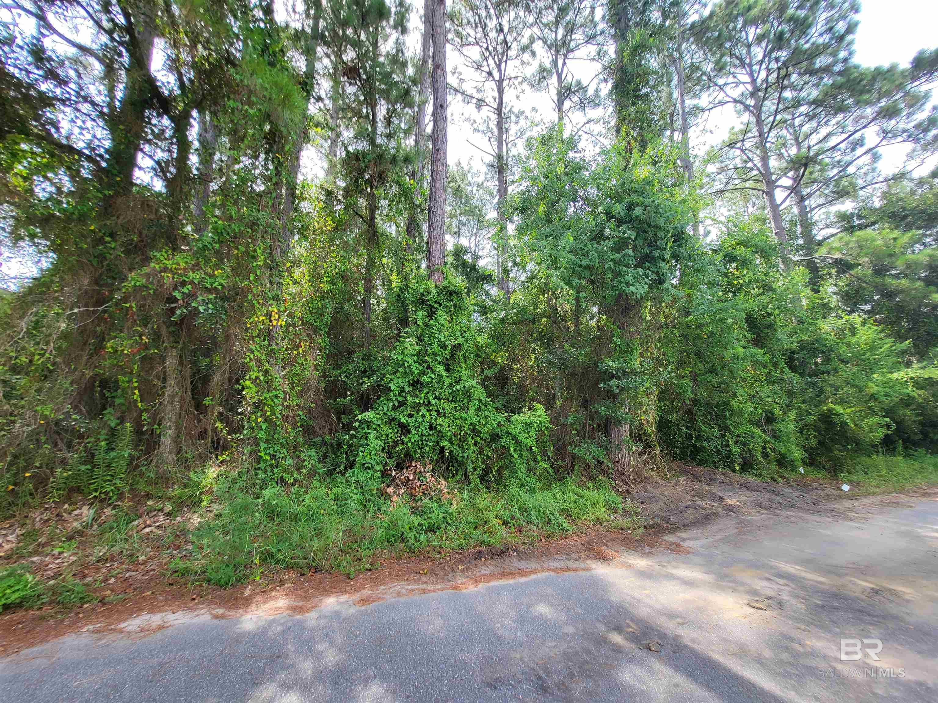 Homes for sale in Gulf Shores, AL | Lot 16 & 17 Wallace Circle, Gulf Shores, AL 36542 | MLS# 382983