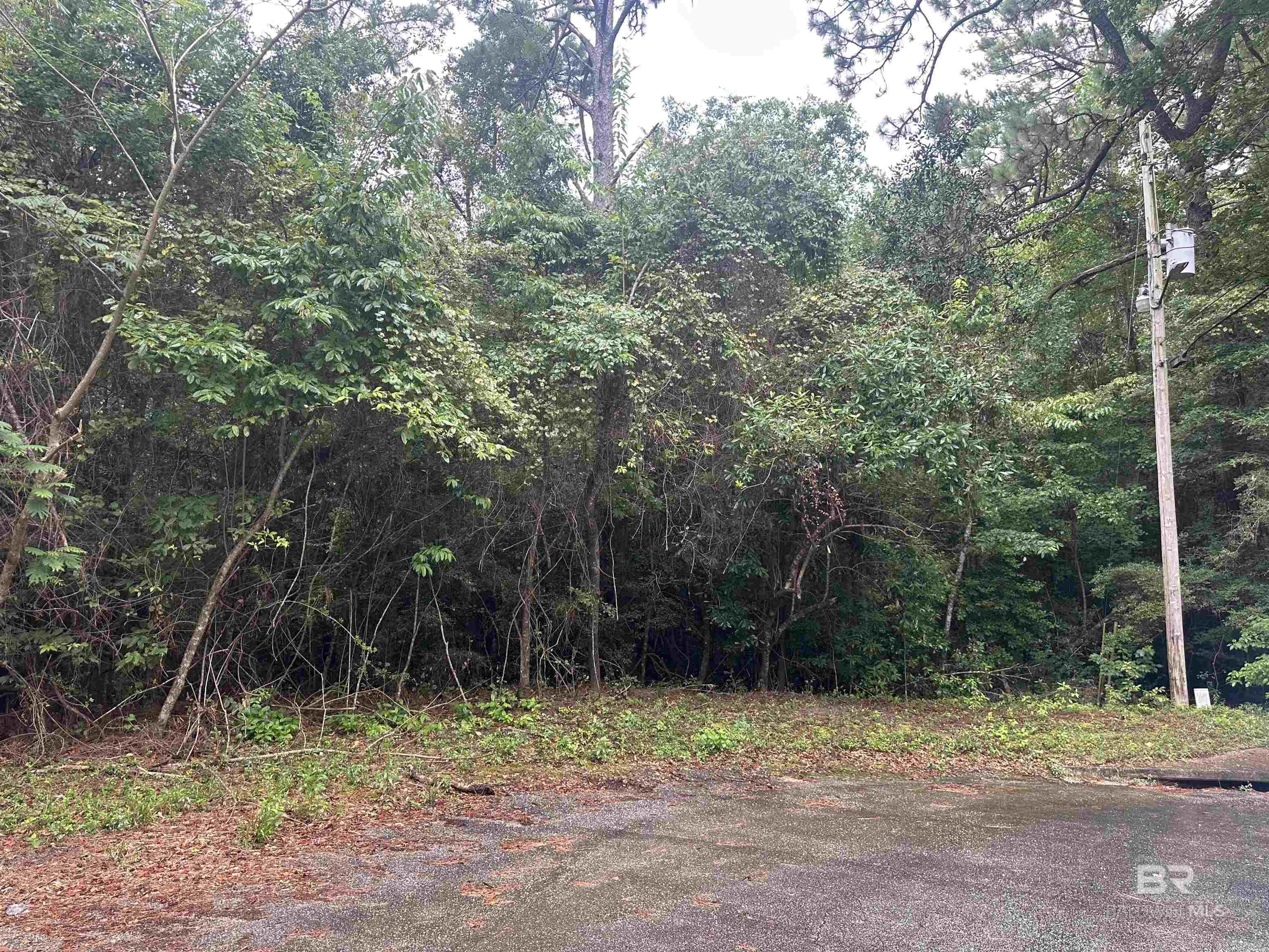 Homes for sale in Saraland, AL | 8 Pine Court, Saraland, AL 36571 | MLS# 382987