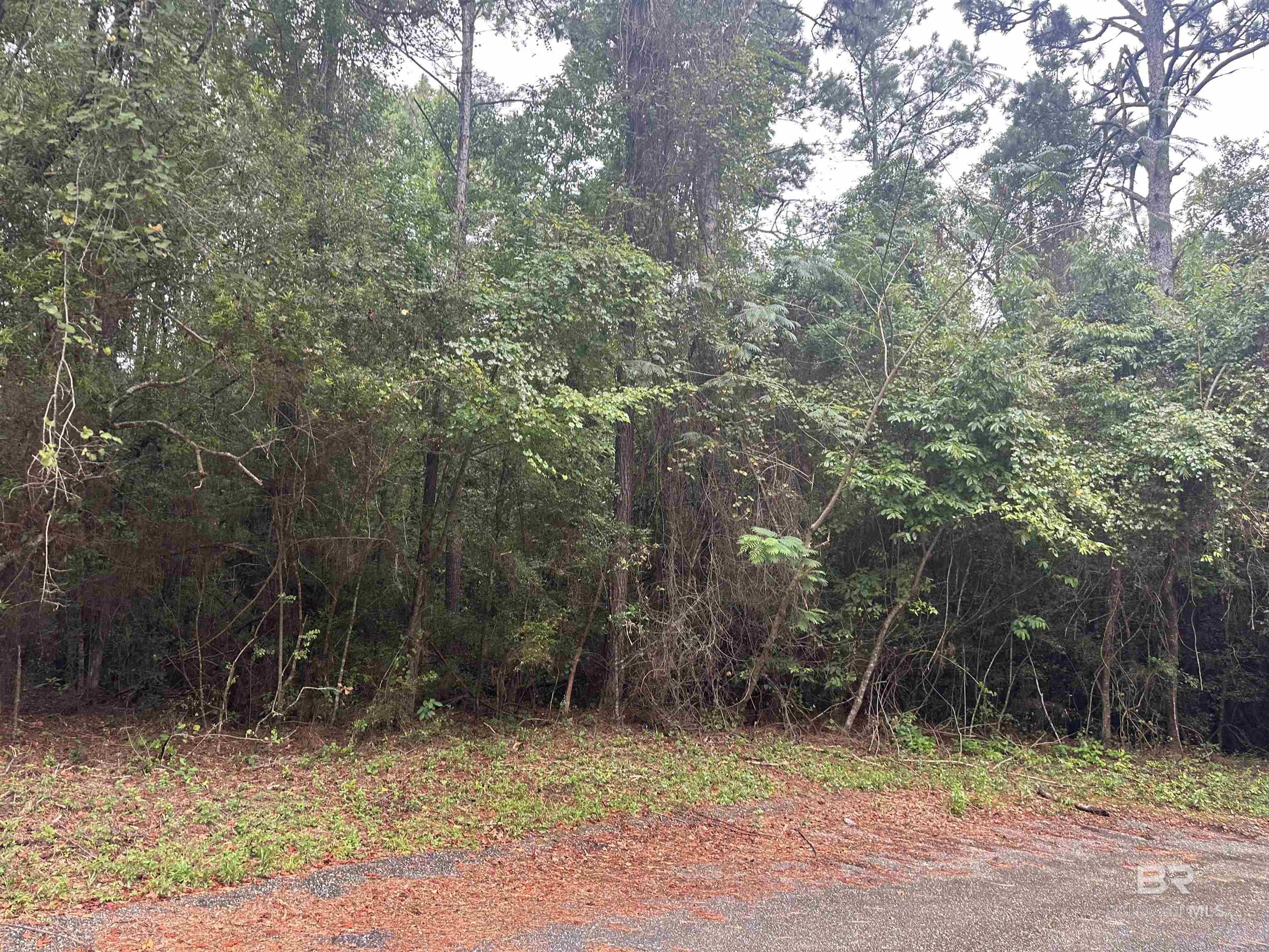 Homes for sale in Saraland, AL | 9 Pine Court, Saraland, AL 36571 | MLS# 382988