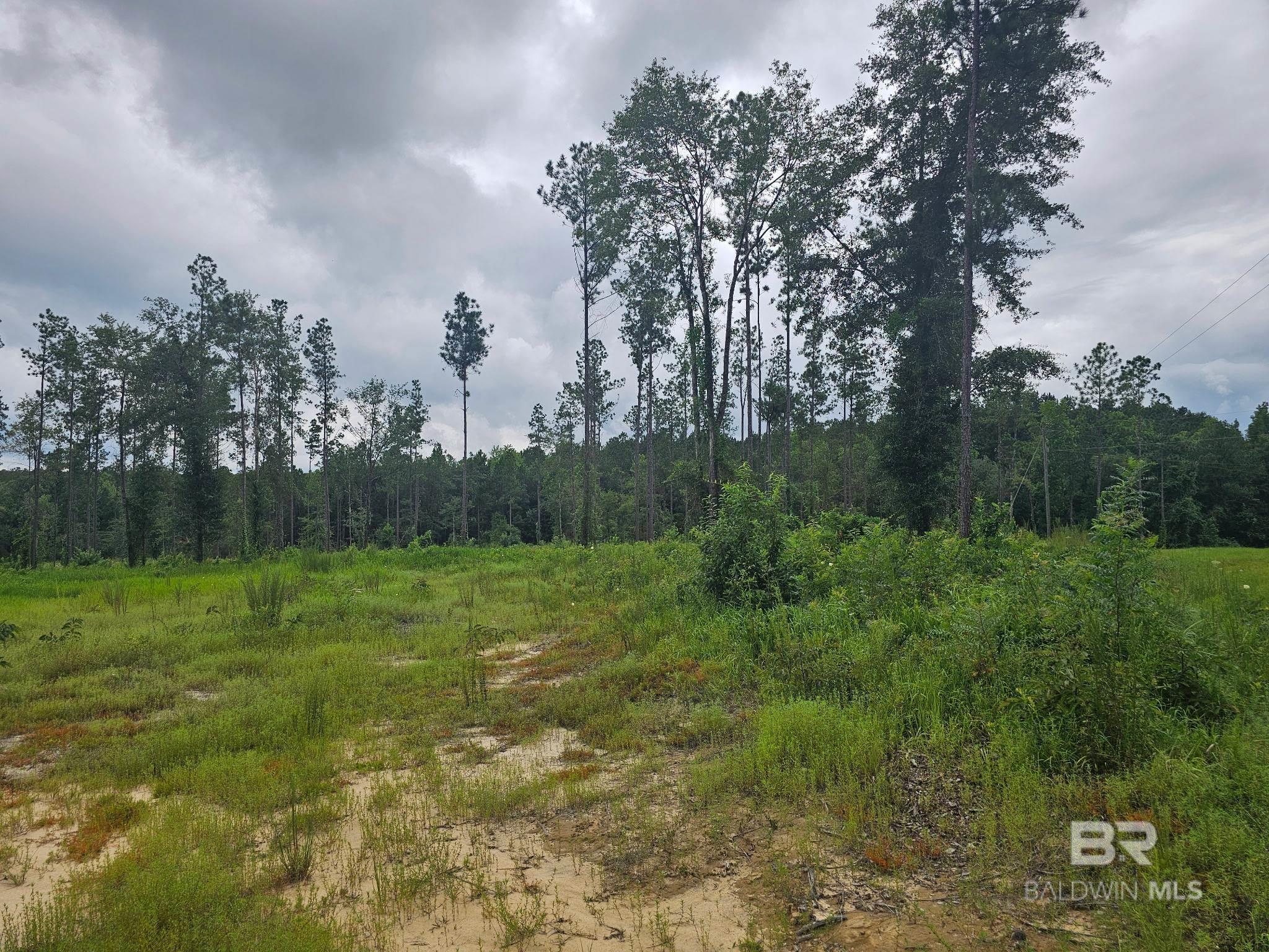 Homes for sale in Perdido, AL | 23799 Lonnie Hadley Road, Perdido, AL 36562 | MLS# 383227