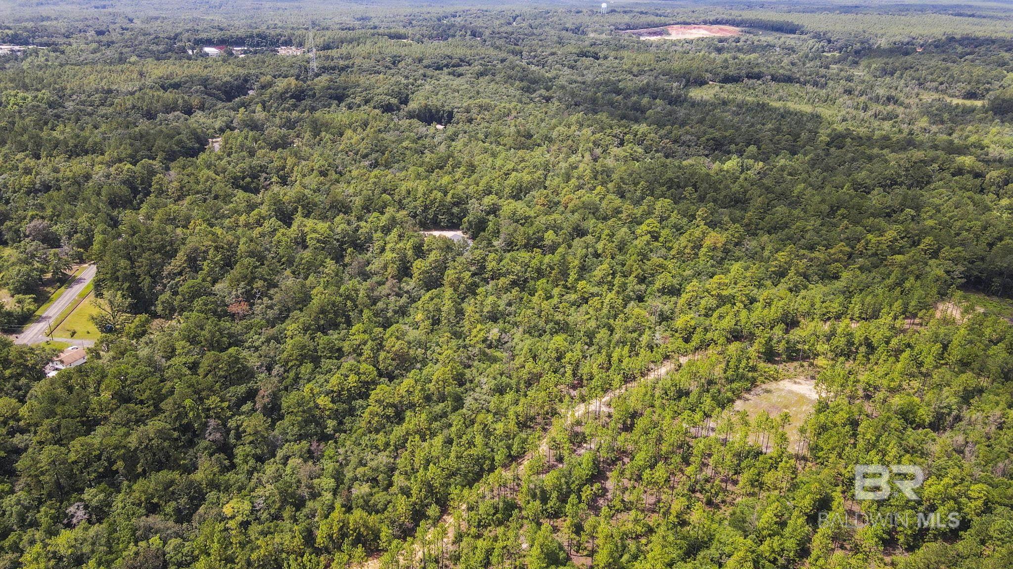 Homes for sale in Eight Mile, AL | 0 Mount Pilgrim Road, Eight Mile, AL 36613 | MLS# 383929