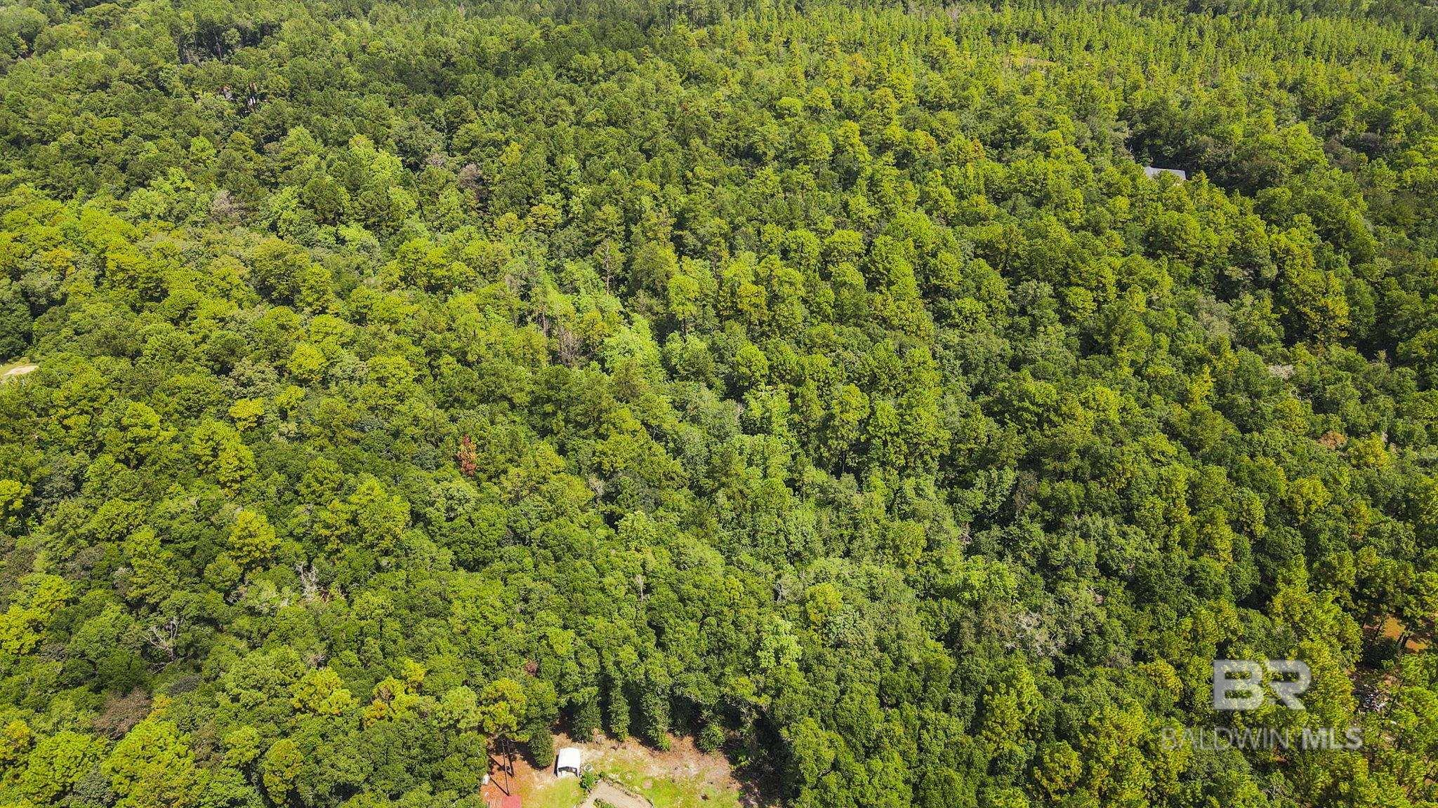 Homes for sale in Eight Mile, AL | 0 Mount Pilgrim Road, Eight Mile, AL 36613 | MLS# 383929