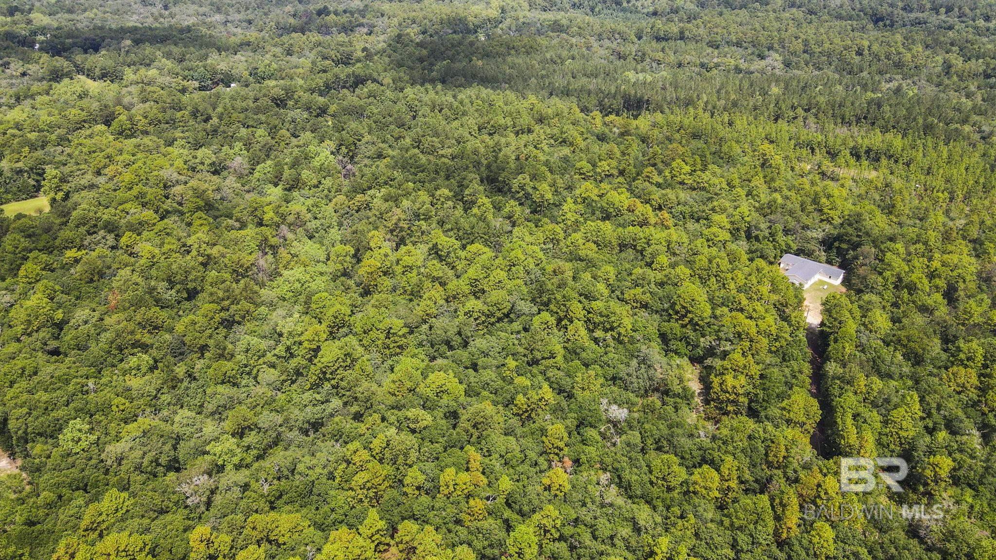 Homes for sale in Eight Mile, AL | 0 Mount Pilgrim Road, Eight Mile, AL 36613 | MLS# 383929