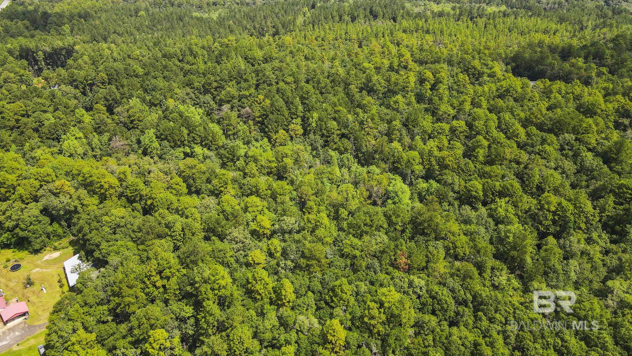 Homes for sale in Eight Mile, AL | 0 Mount Pilgrim Road, Eight Mile, AL 36613 | MLS# 383929