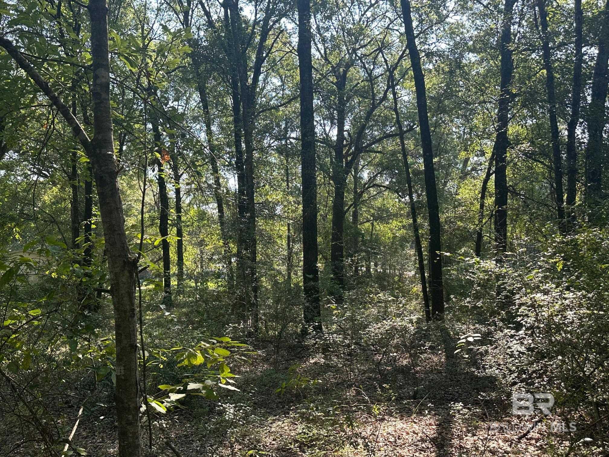 Homes for sale in Wilmer, AL | 0 Danner Road, Wilmer, AL 36587 | MLS# 383990