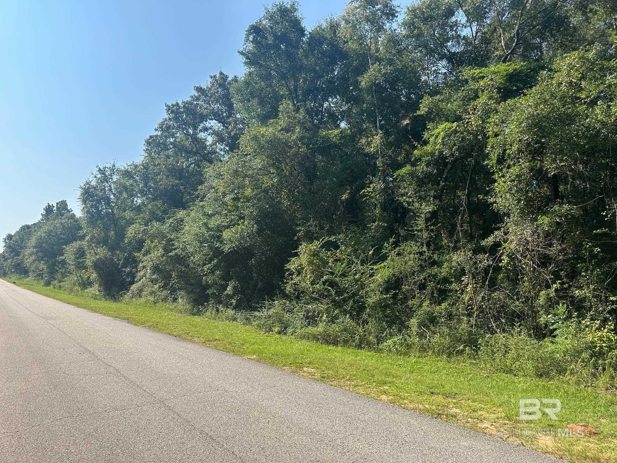 Homes for sale in Wilmer, AL | 0 Danner Road, Wilmer, AL 36587 | MLS# 383990