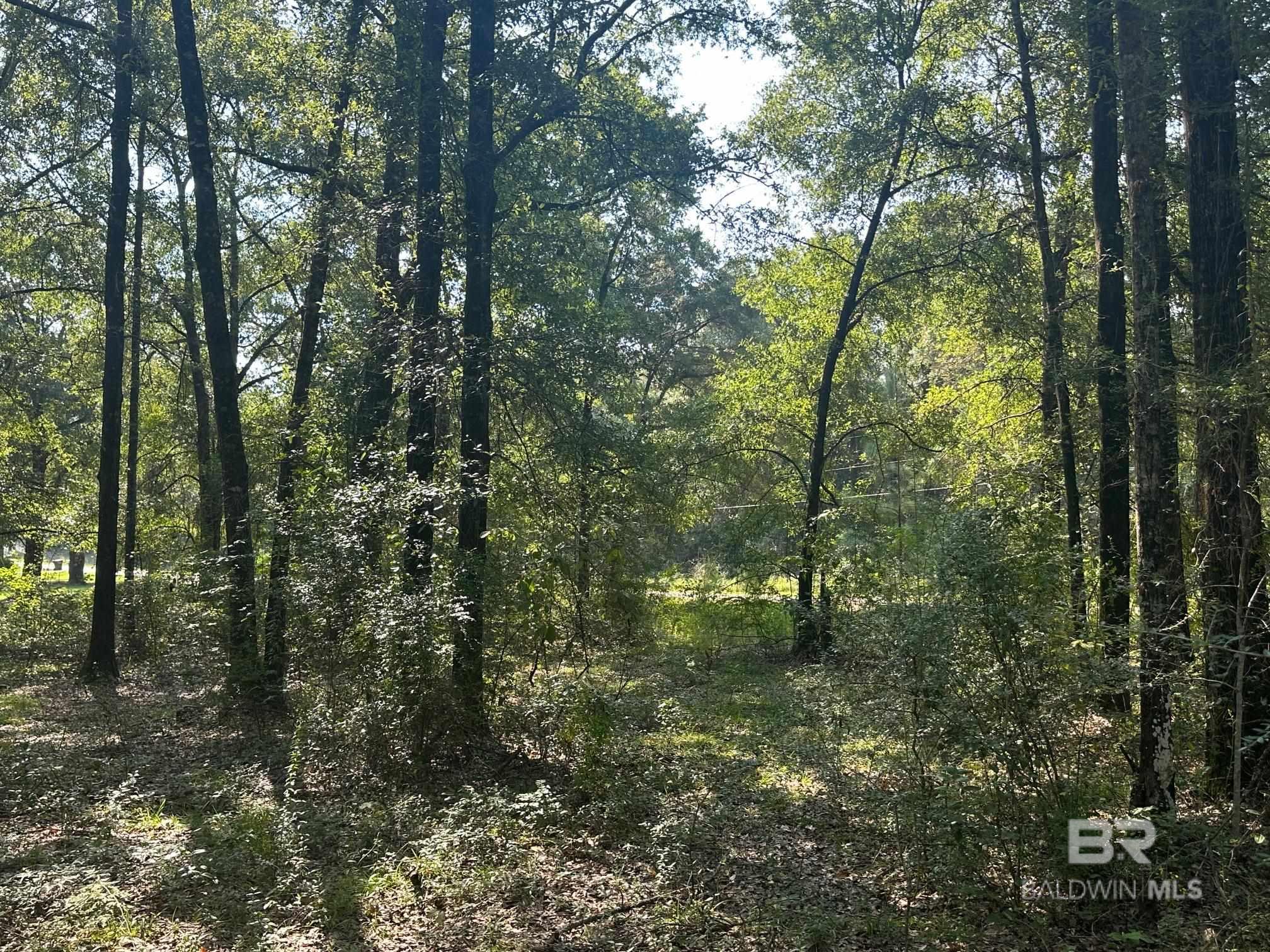 Homes for sale in Wilmer, AL | 0 Danner Road, Wilmer, AL 36587 | MLS# 383990