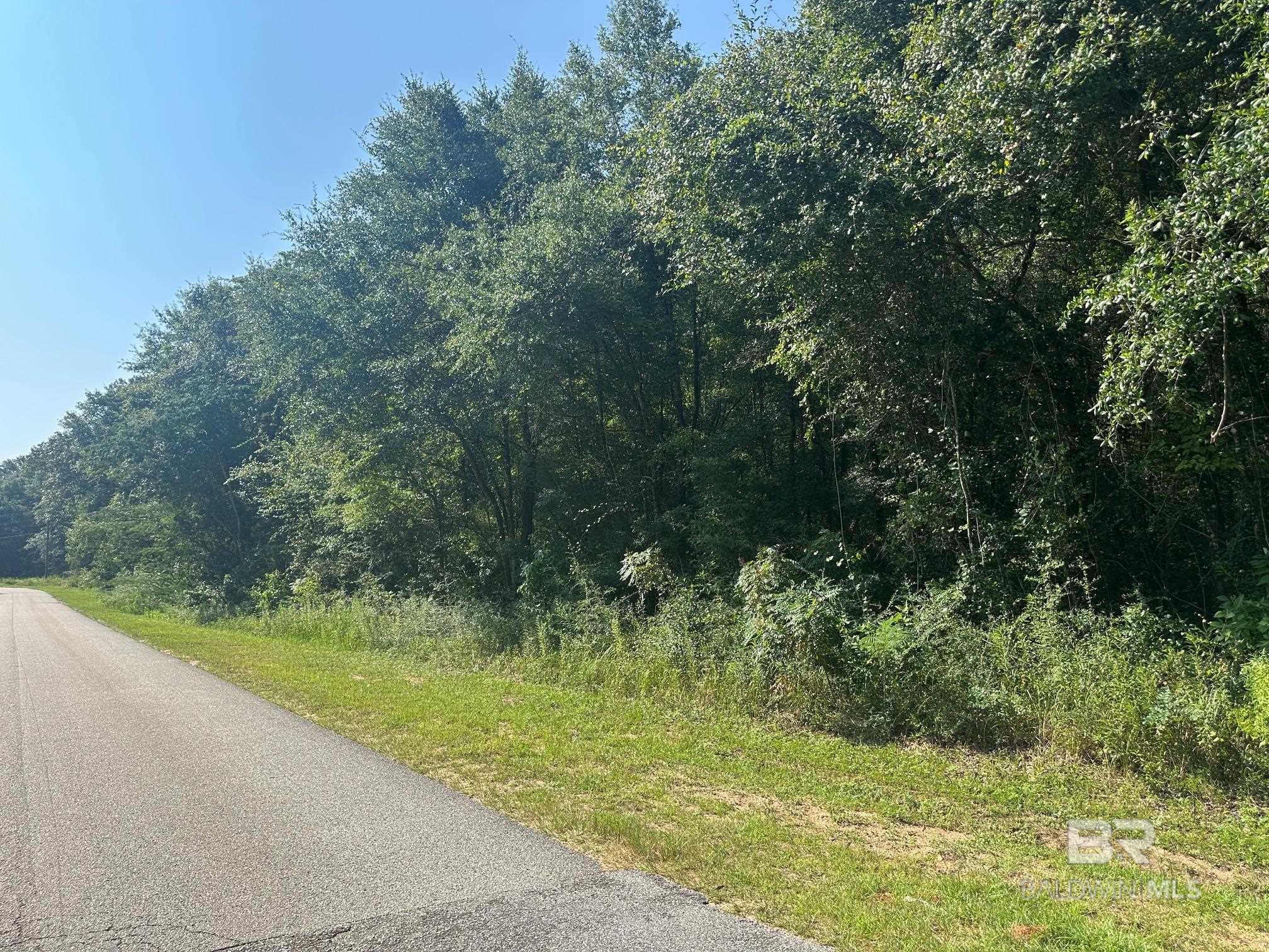 Homes for sale in Wilmer, AL | 0 Danner Road, Wilmer, AL 36587 | MLS# 383990