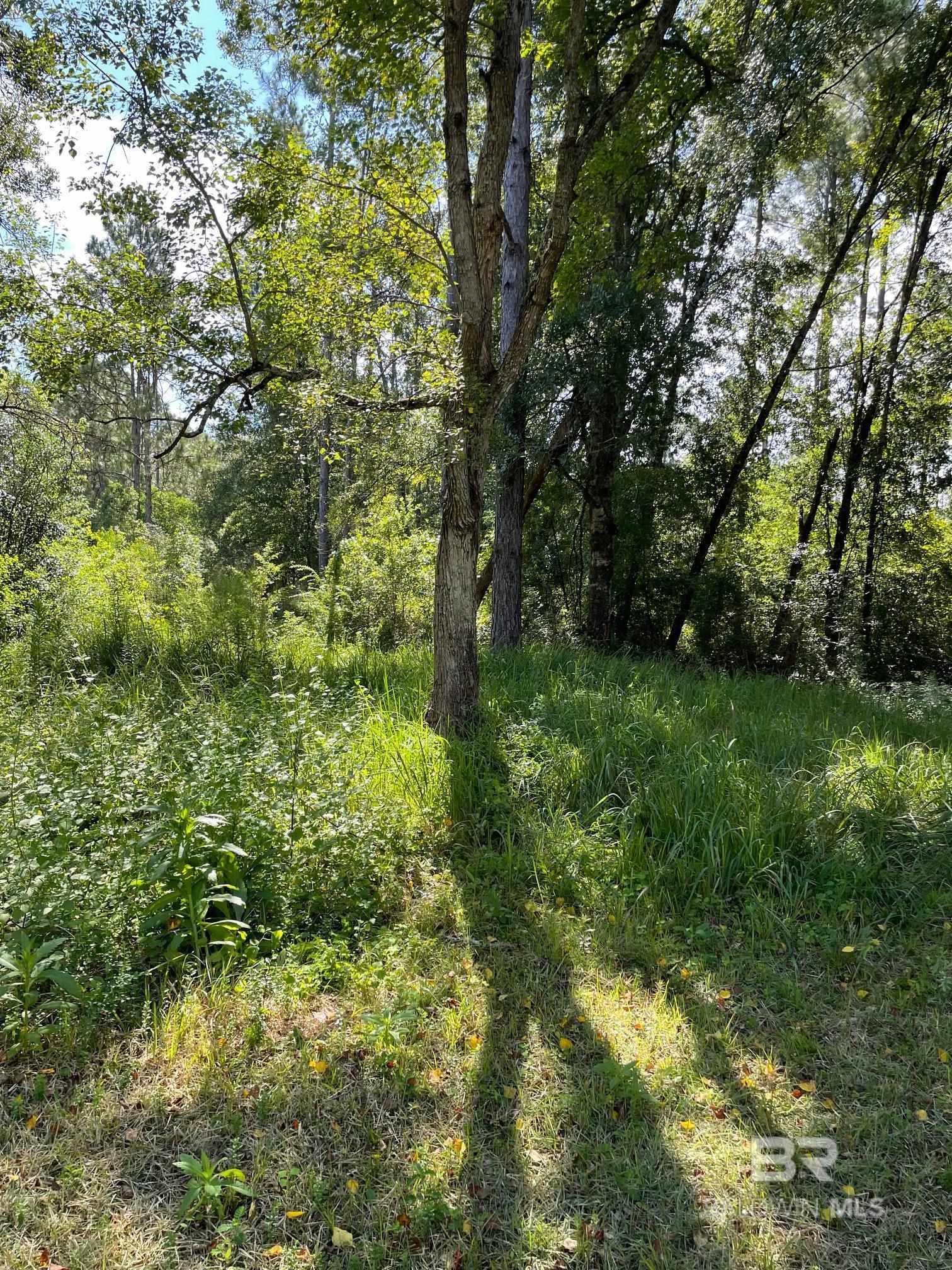 Homes for sale in Robertsdale, AL | 20150 County Road 87, Robertsdale, AL 36567 | MLS# 384035