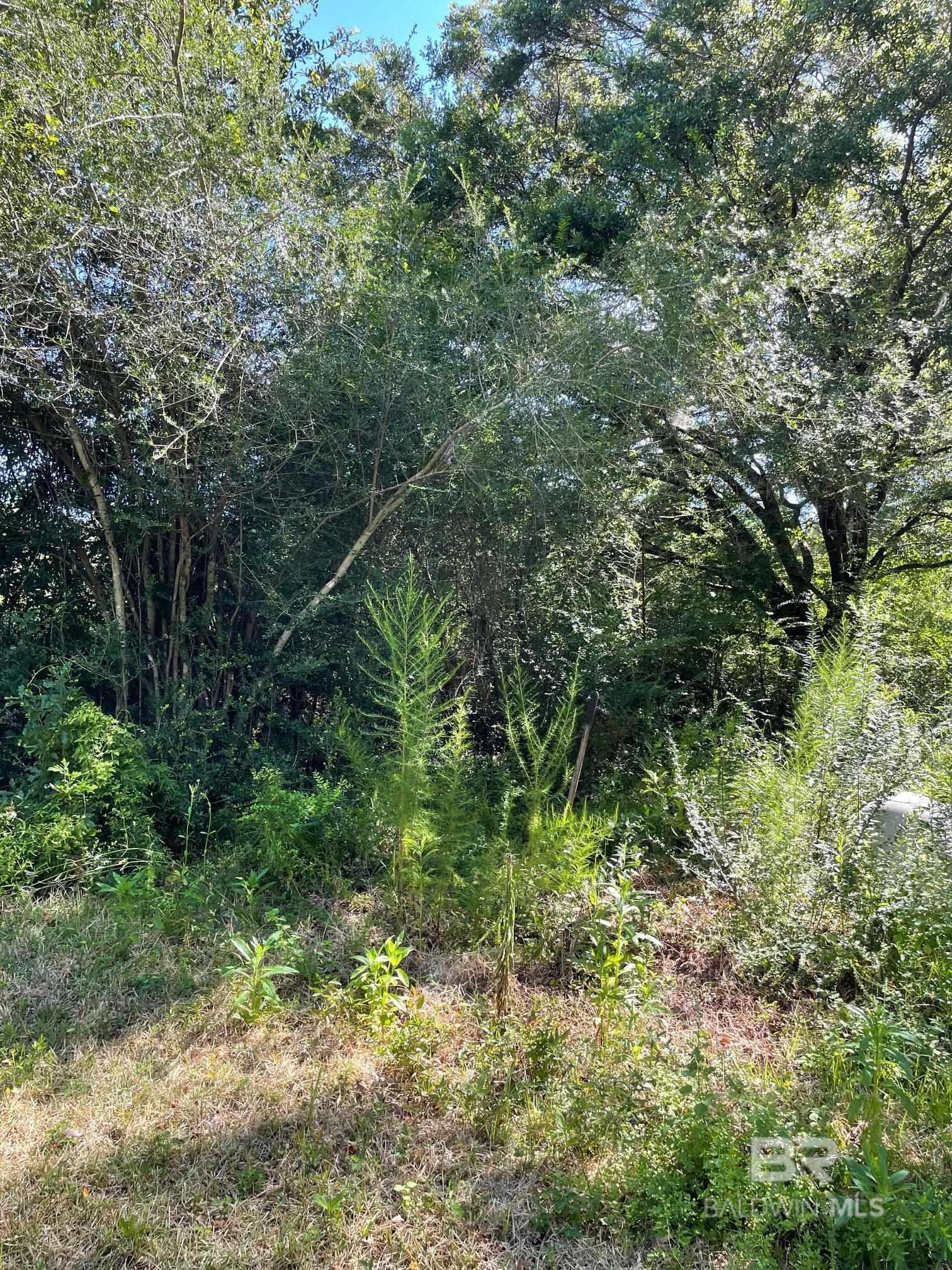 Homes for sale in Robertsdale, AL | 20150 County Road 87, Robertsdale, AL 36567 | MLS# 384035