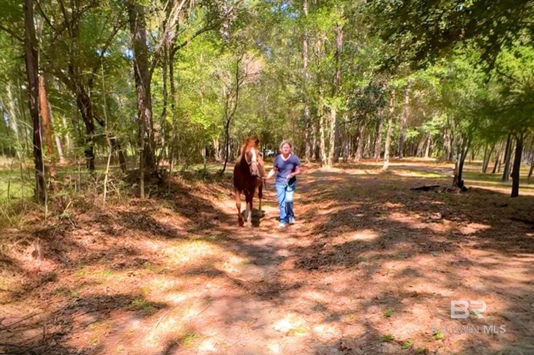 Homes for sale in Stapleton, AL | 36001 Sibley Road, Stapleton, AL 36578 | MLS# 384036