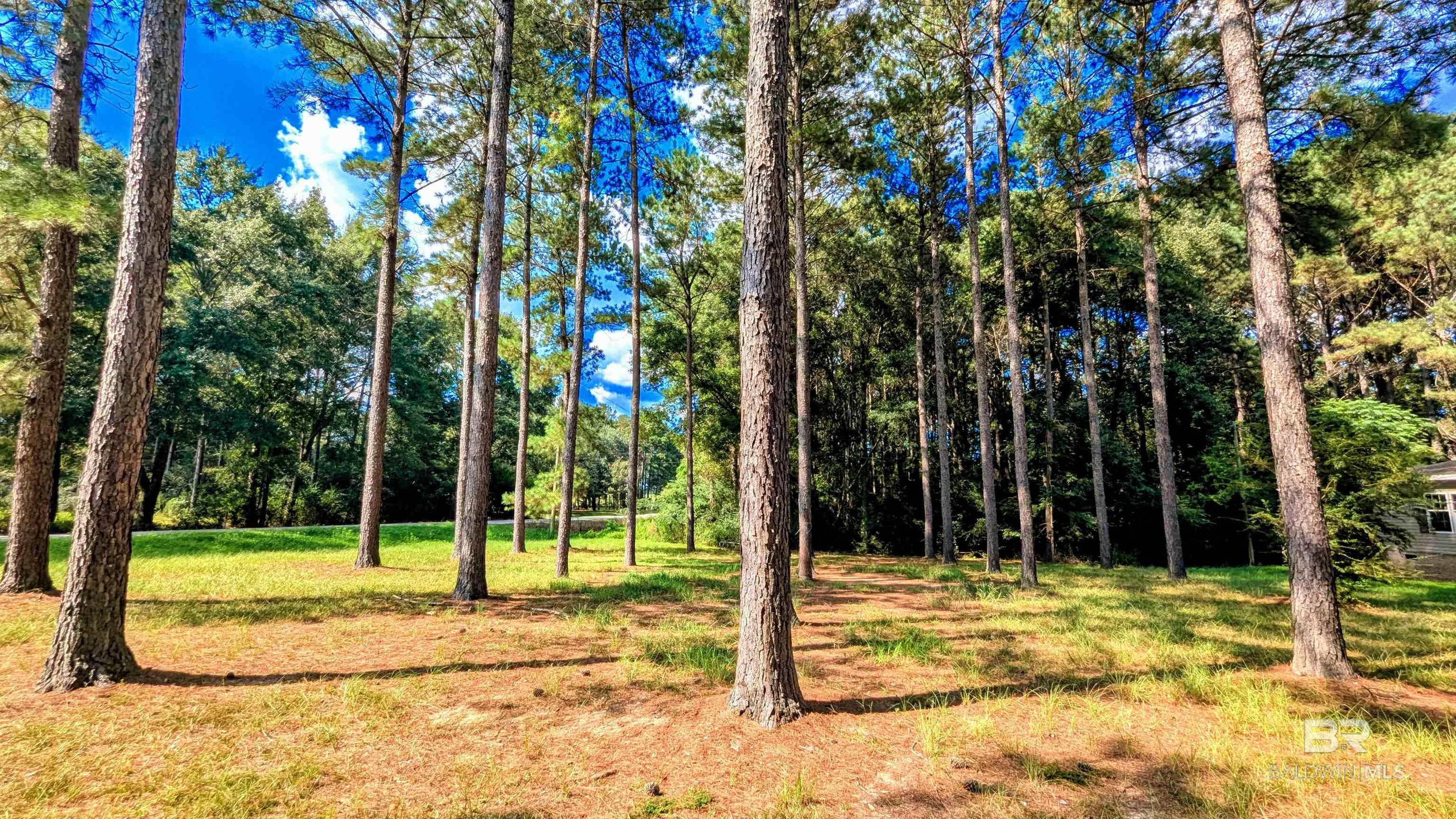 Homes for sale in Millry, AL | 3050 Sam Sullivan Road, Millry, AL 36558 | MLS# 384064