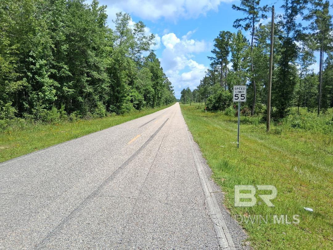 Homes for sale in Atmore, AL | 0 Lottie Road, Atmore, AL 36507 | MLS# 384211