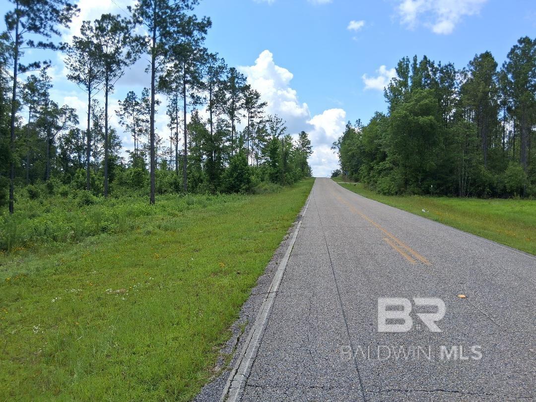 Homes for sale in Atmore, AL | 0 Lottie Road, Atmore, AL 36507 | MLS# 384211