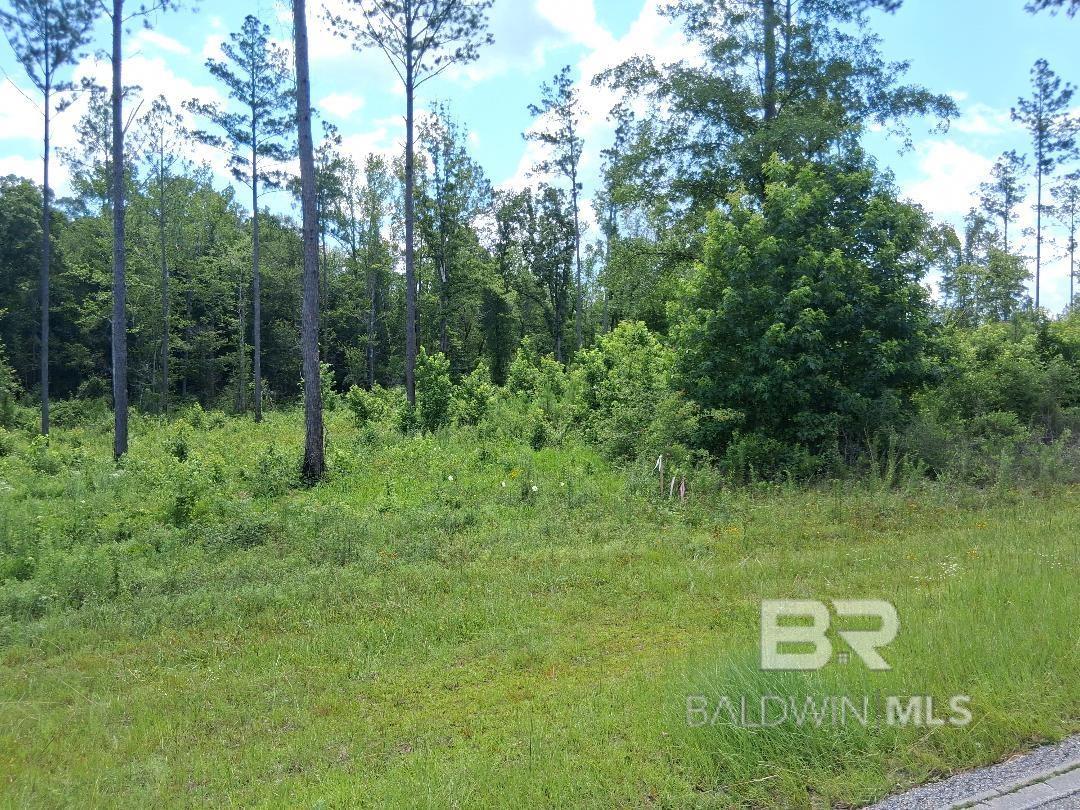 Homes for sale in Atmore, AL | 0 Lottie Road, Atmore, AL 36507 | MLS# 384211