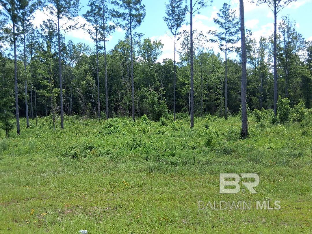 Homes for sale in Atmore, AL | 0 Lottie Road, Atmore, AL 36507 | MLS# 384211