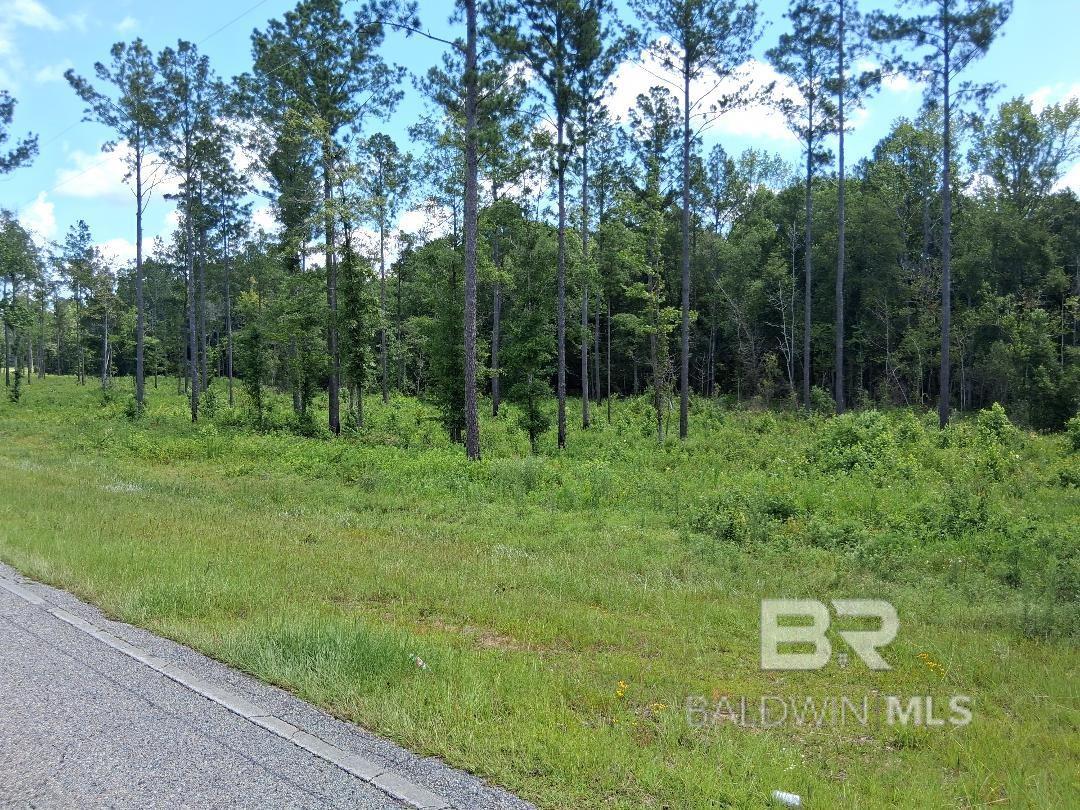 Homes for sale in Atmore, AL | 0 Lottie Road, Atmore, AL 36507 | MLS# 384211