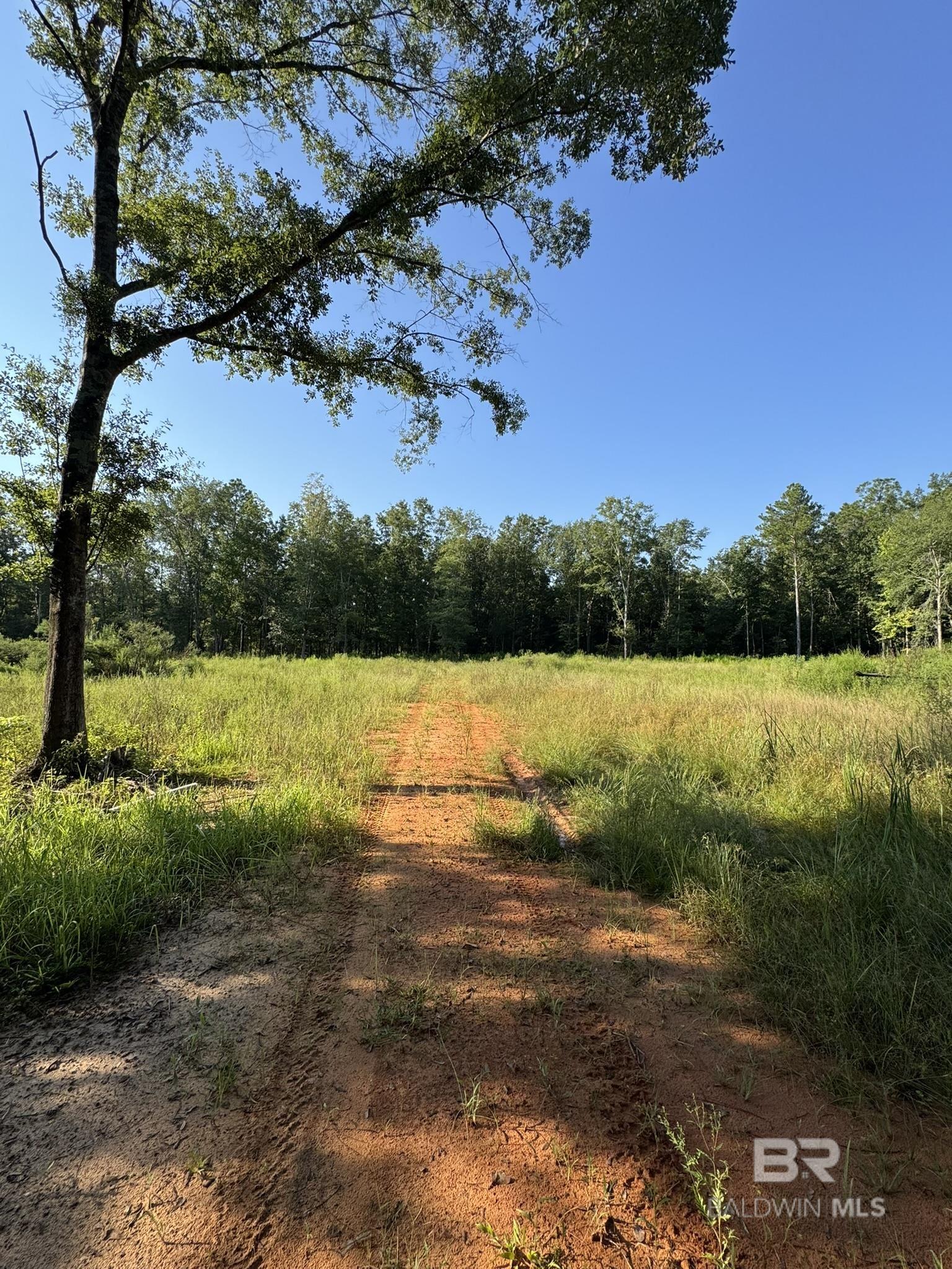 Homes for sale in Silverhill, AL | 16300 County Road 54, Silverhill, AL 36576 | MLS# 384236