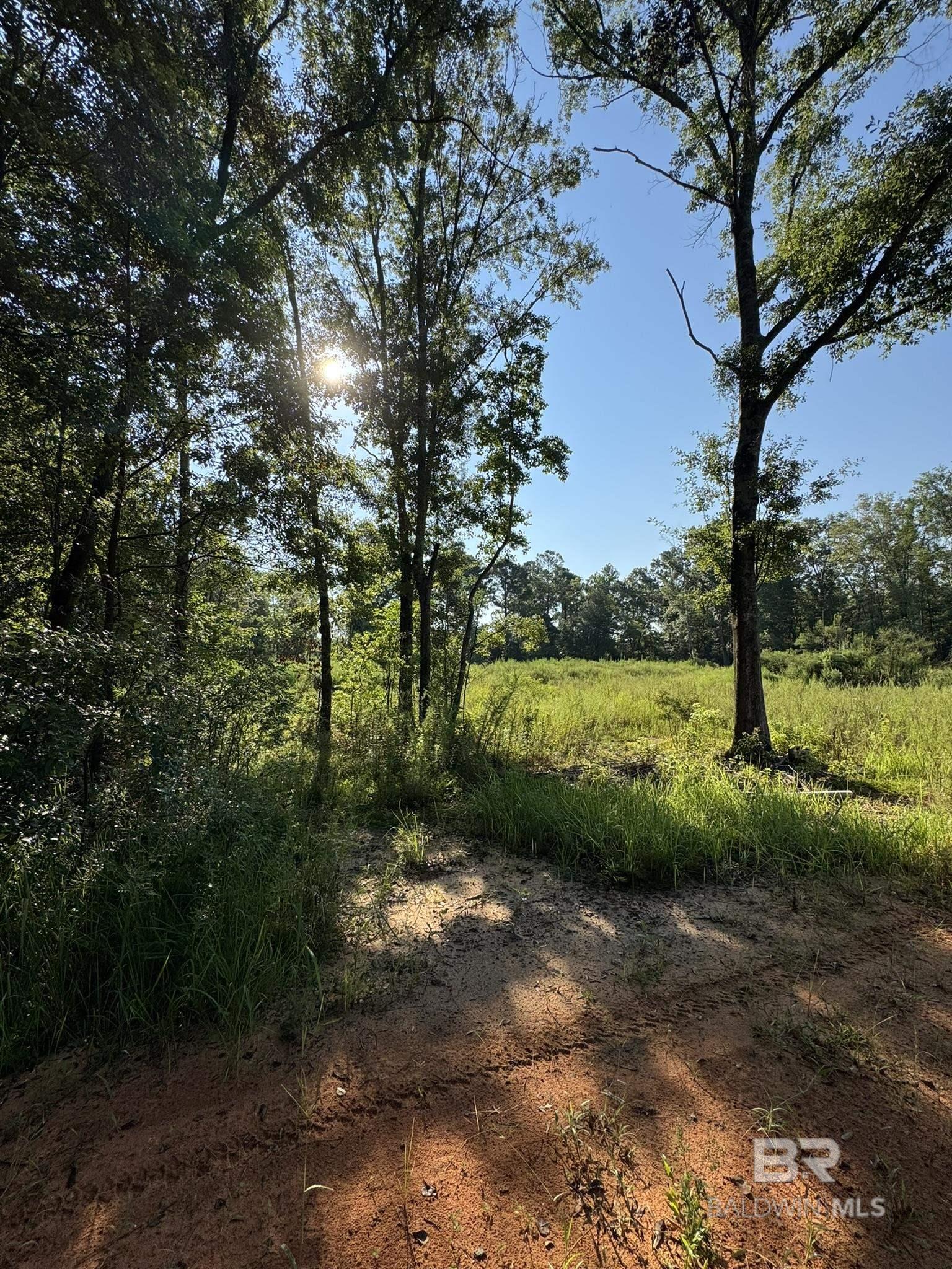 Homes for sale in Silverhill, AL | 16300 County Road 54, Silverhill, AL 36576 | MLS# 384236