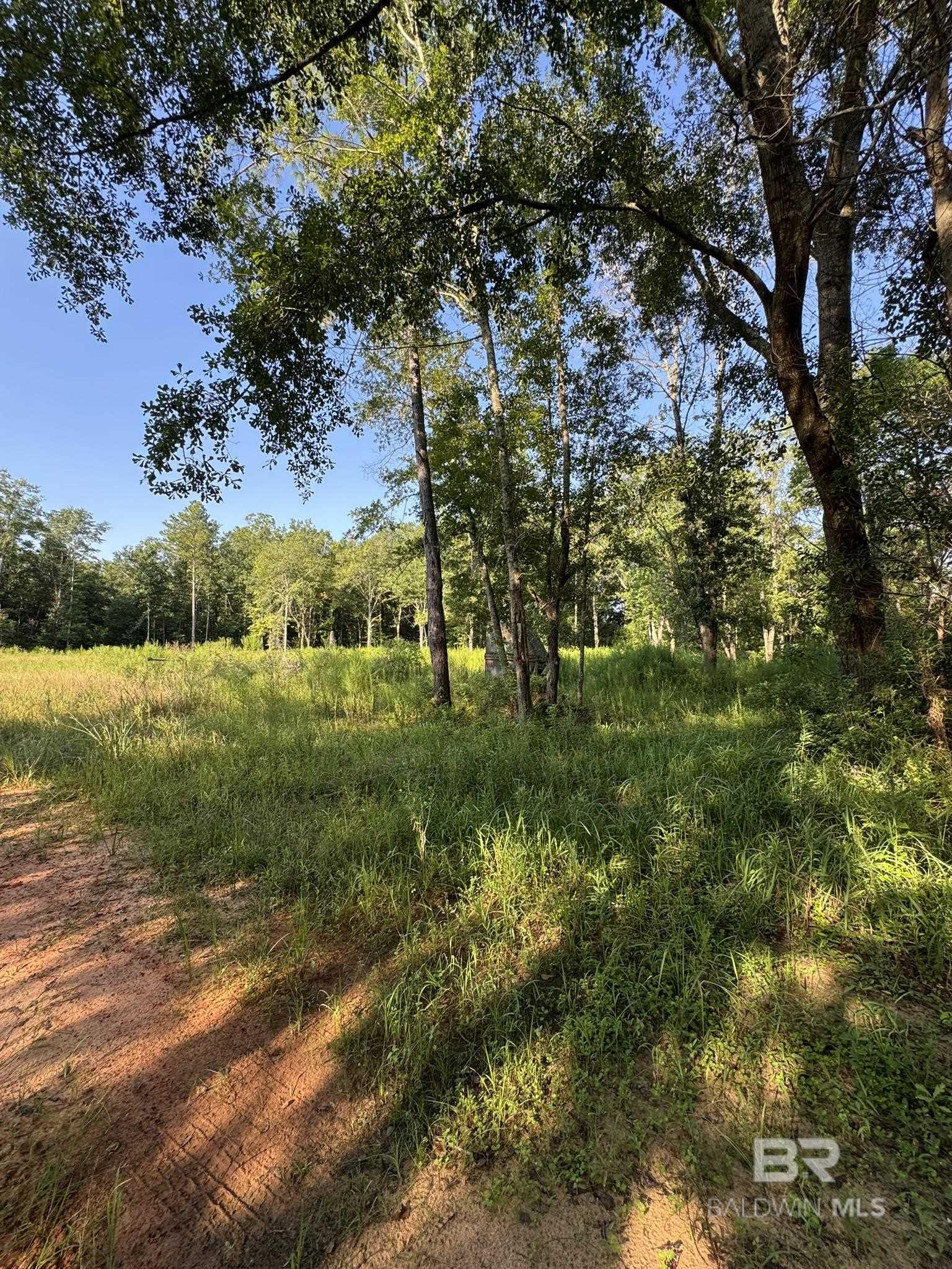 Homes for sale in Silverhill, AL | 16300 County Road 54, Silverhill, AL 36576 | MLS# 384236