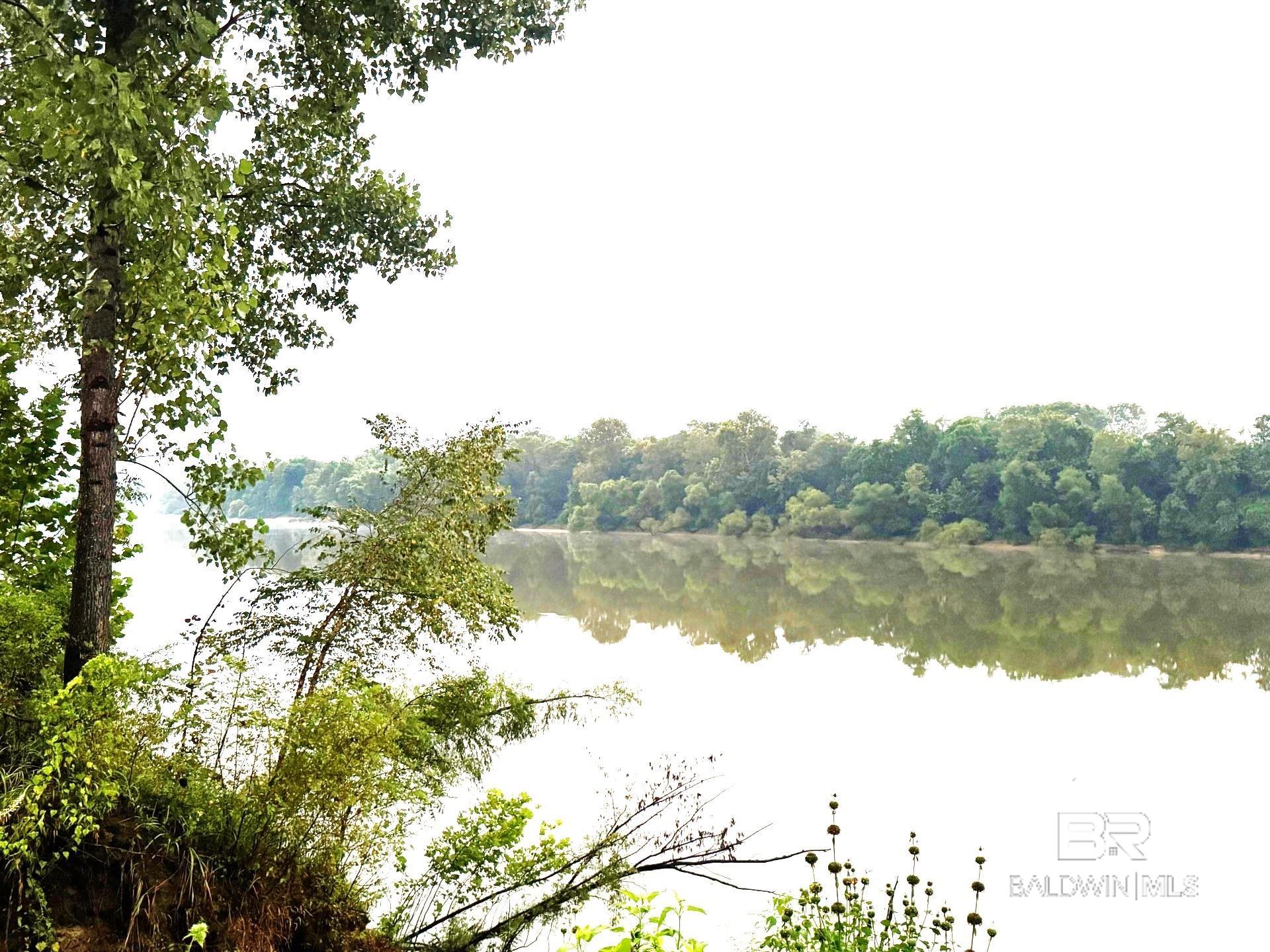 Homes for sale in Gainestown, AL | 72 Sandy Bottoms Road, Gainestown, AL 36540 | MLS# 384649