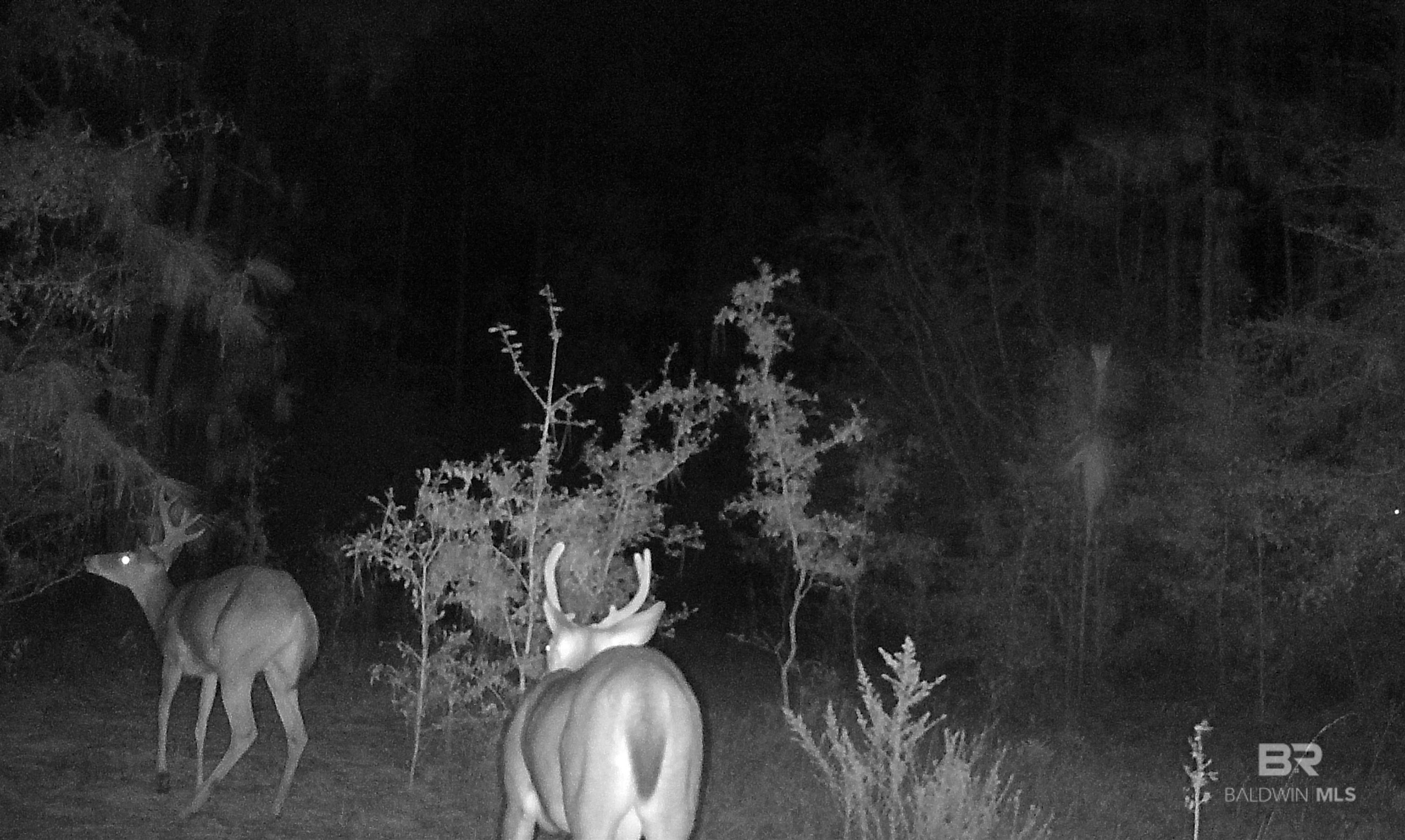 Homes for sale in Eight Mile, AL | 7350 Kushla Mcleod Road, Eight Mile, AL 36613 | MLS# 384660