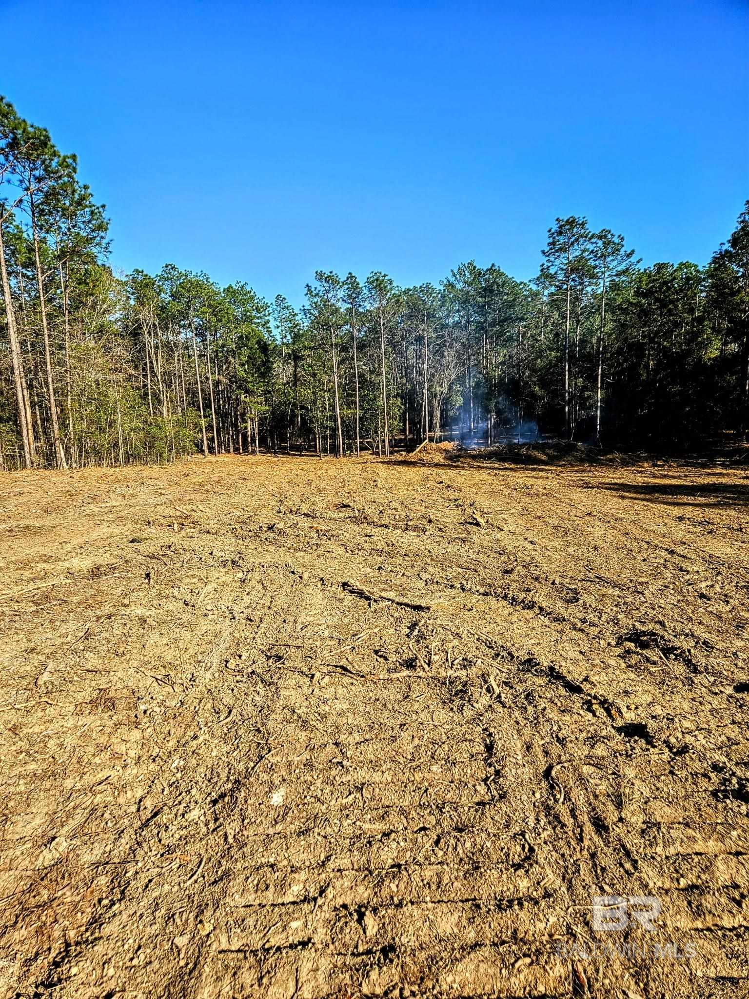 Homes for sale in Bay Minette, AL | 11040 County Road 138, Bay Minette, AL 36507 | MLS# 384828